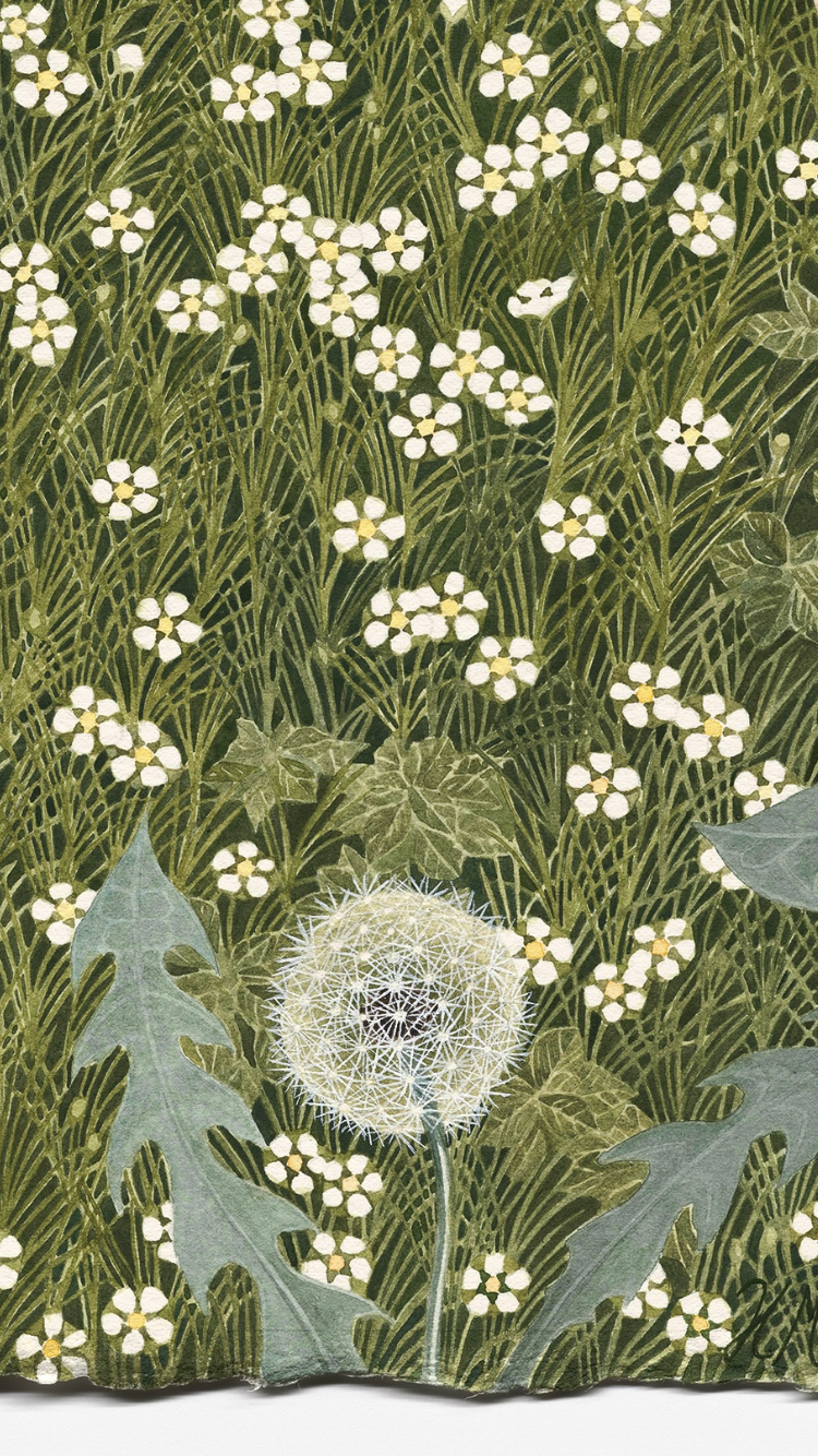 IMG_4279.PNG