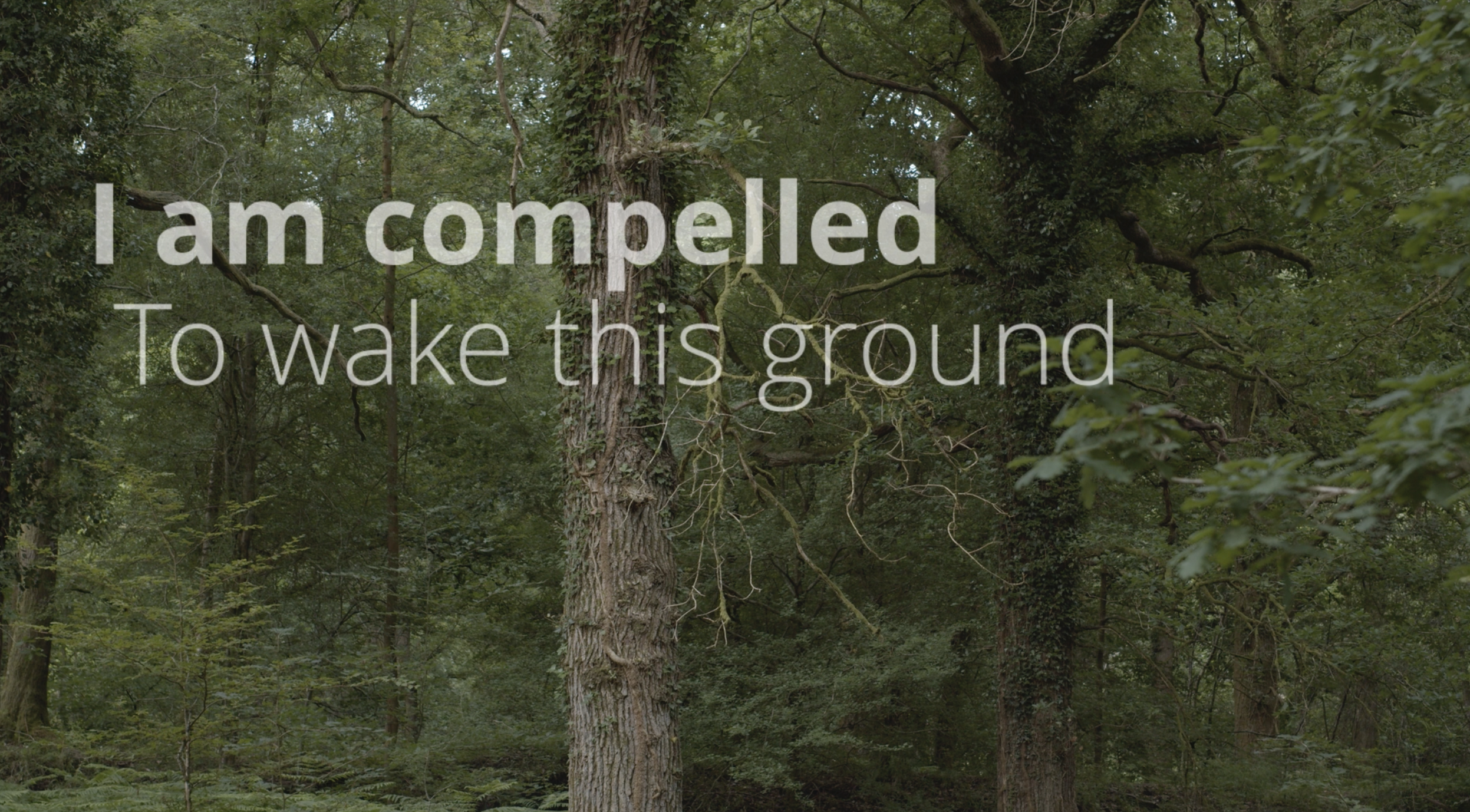 Khady Gueye and Zakiya McKenzie, Forest of Dean Sculpture Trust