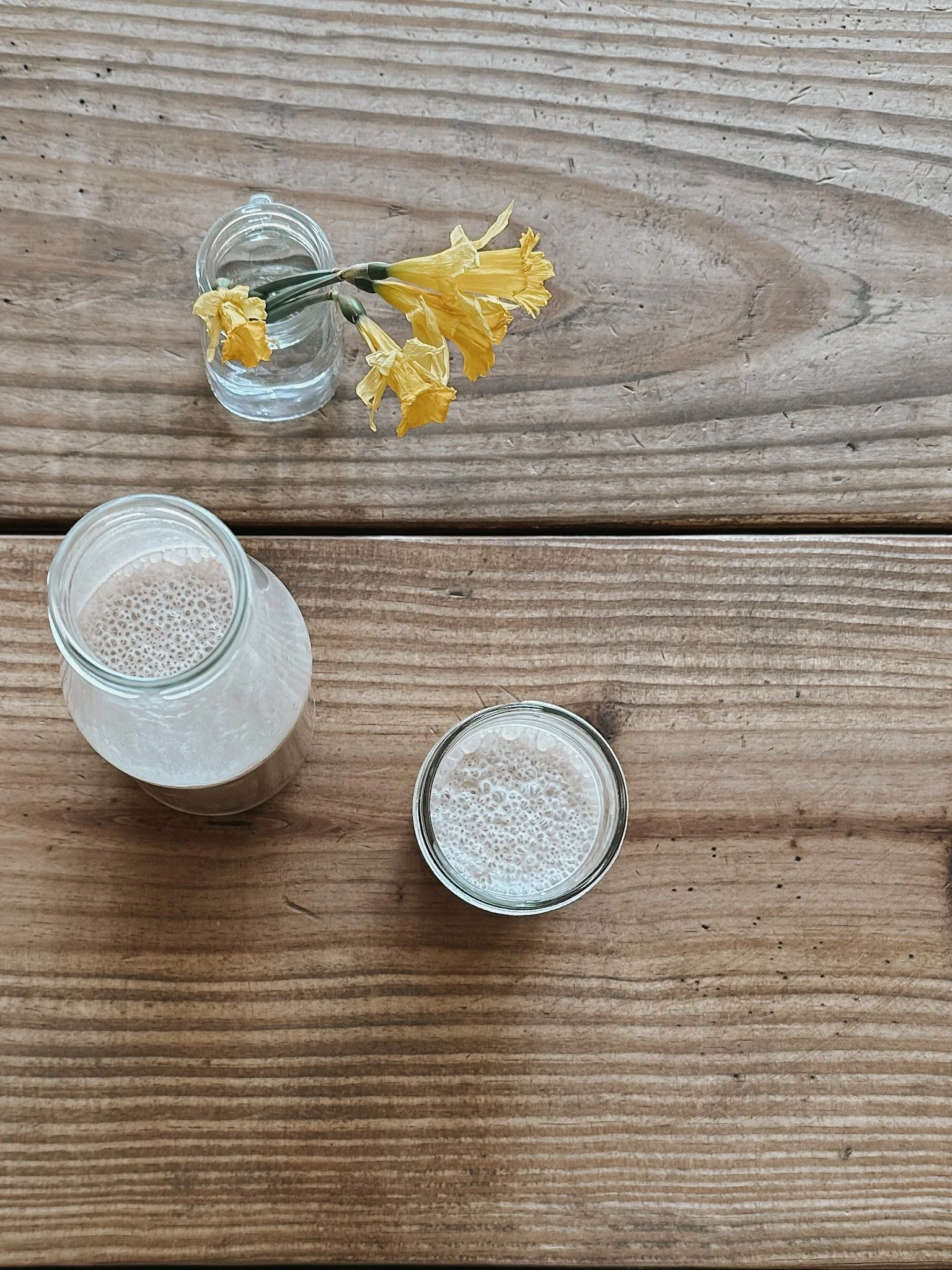 Chocolate Mineral Milk