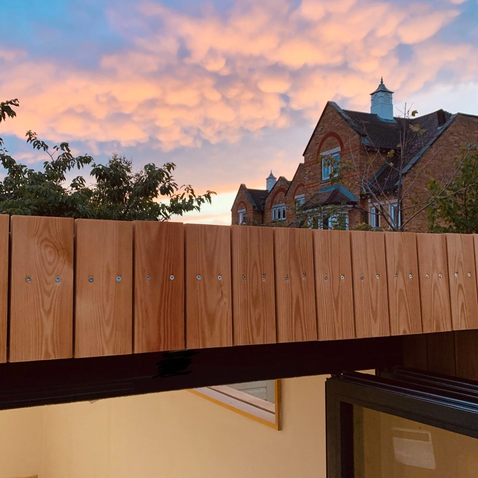 Close-up detail of cladding on the NEO garden studio, showing the natural grain and finish