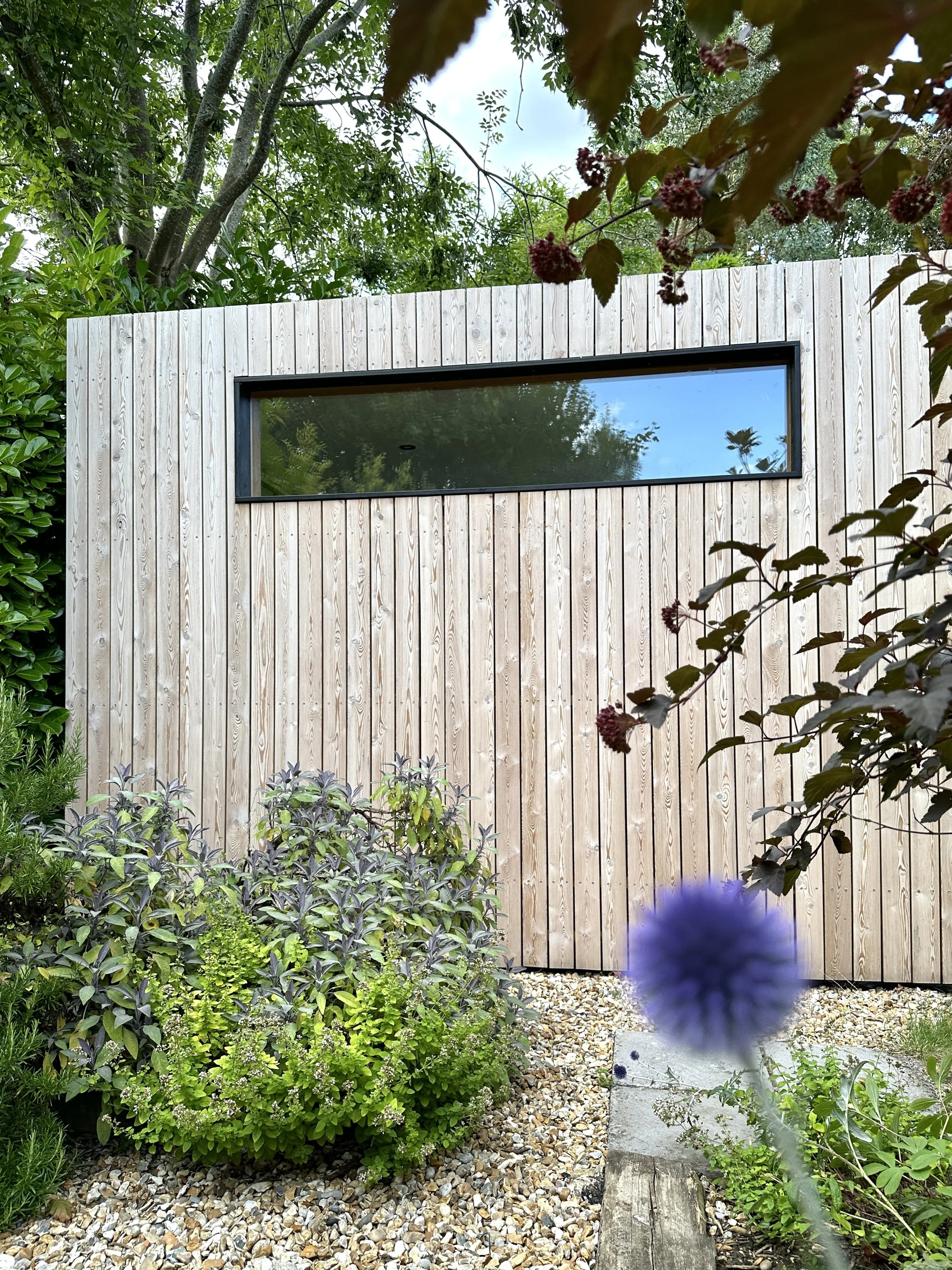 IMG_1893.jpg