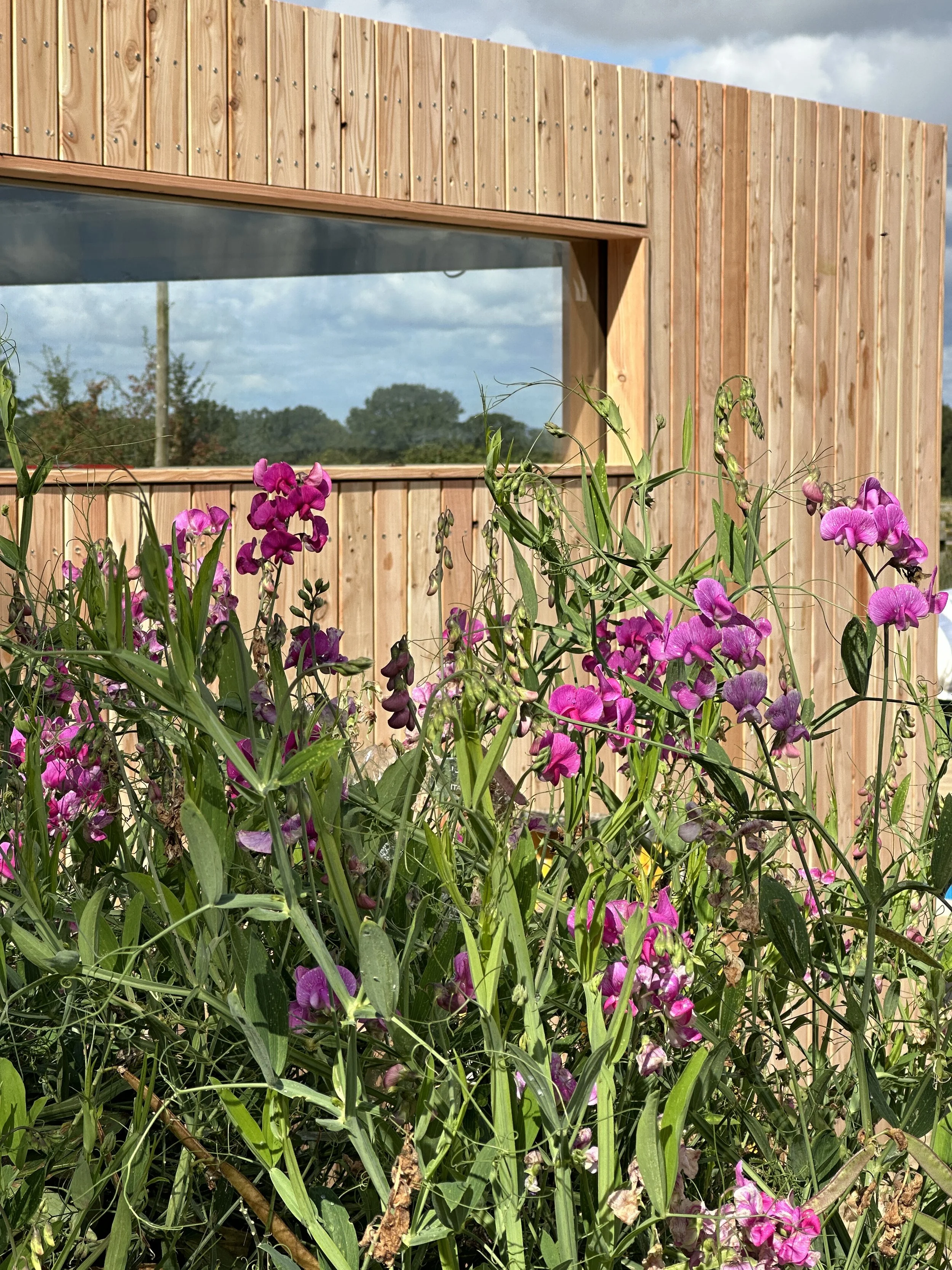 FORZA Garden Room Positioned Within a Natural Garden Setting
