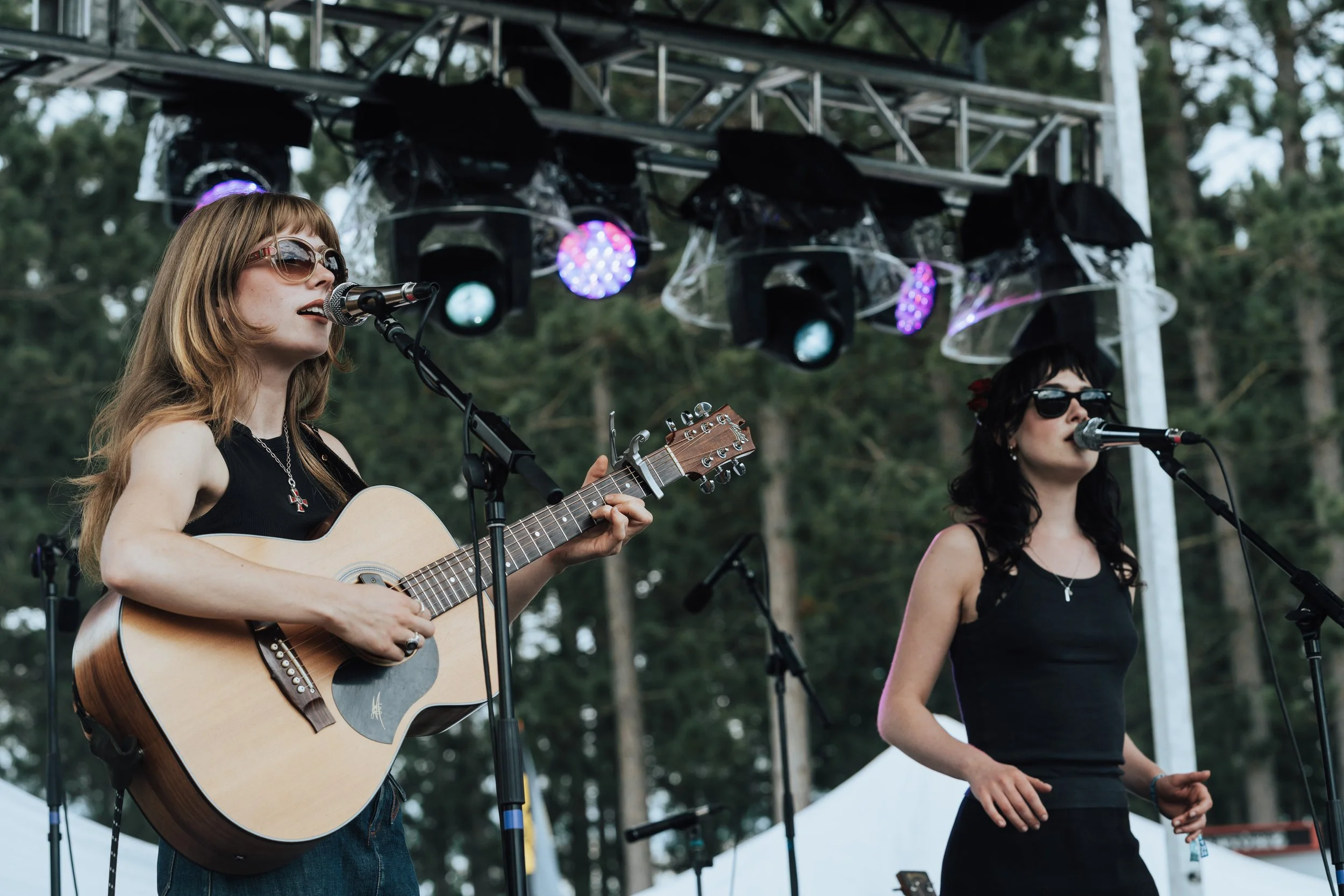 Folk Bitch Trio - Blue Ox SmouseintheHouse-1.jpg