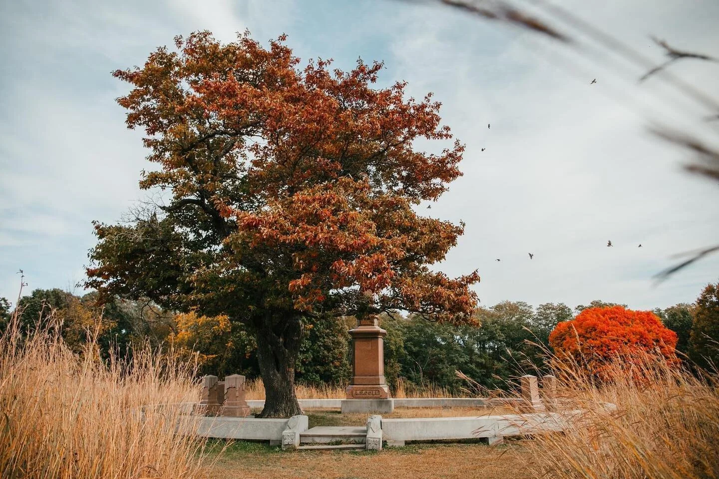 There's something comforting about the human need to reserve only our most beautiful places for our most beloved passed.