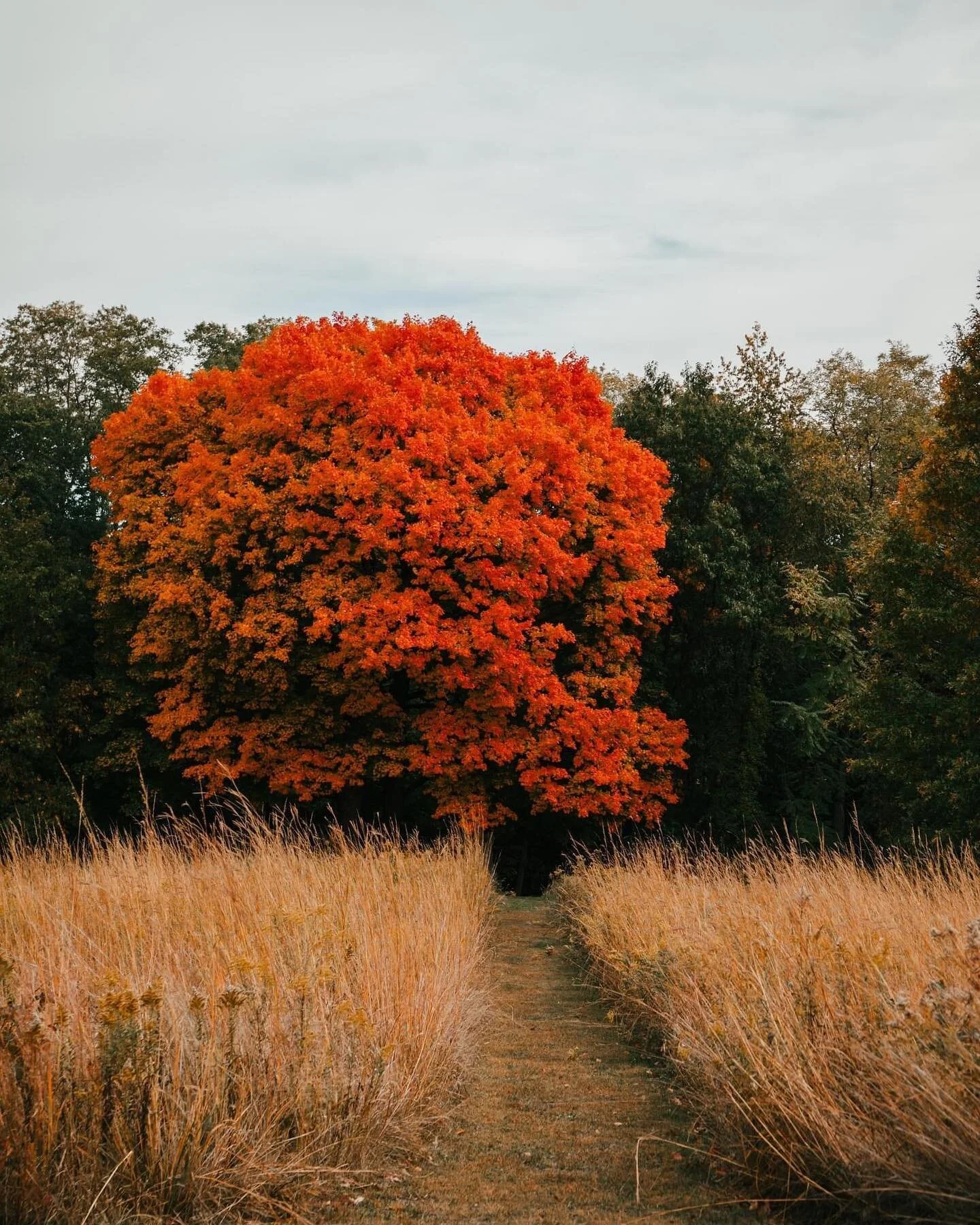 Peace on the prairie.