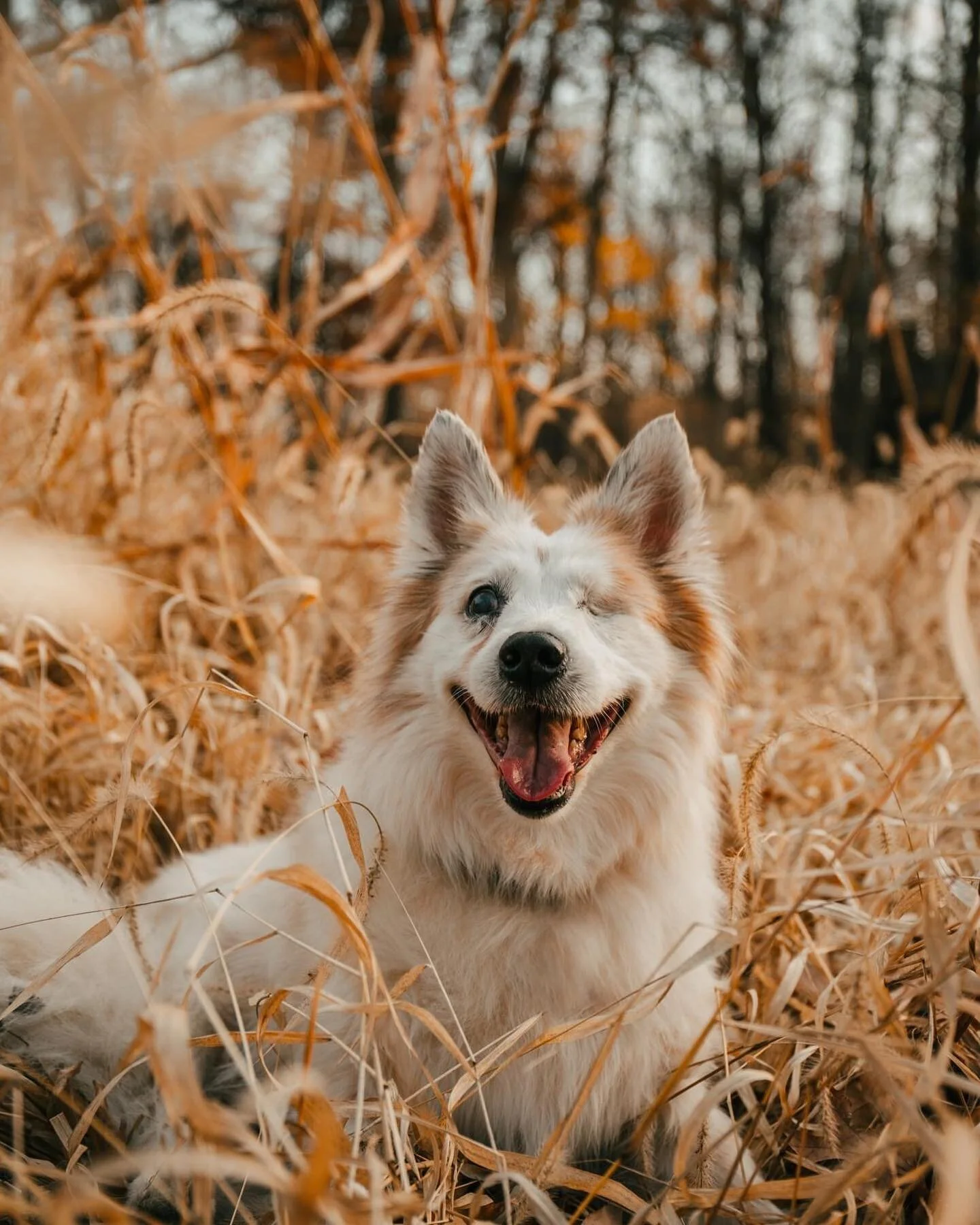 You just can&rsquo;t help but smile at this little girl.