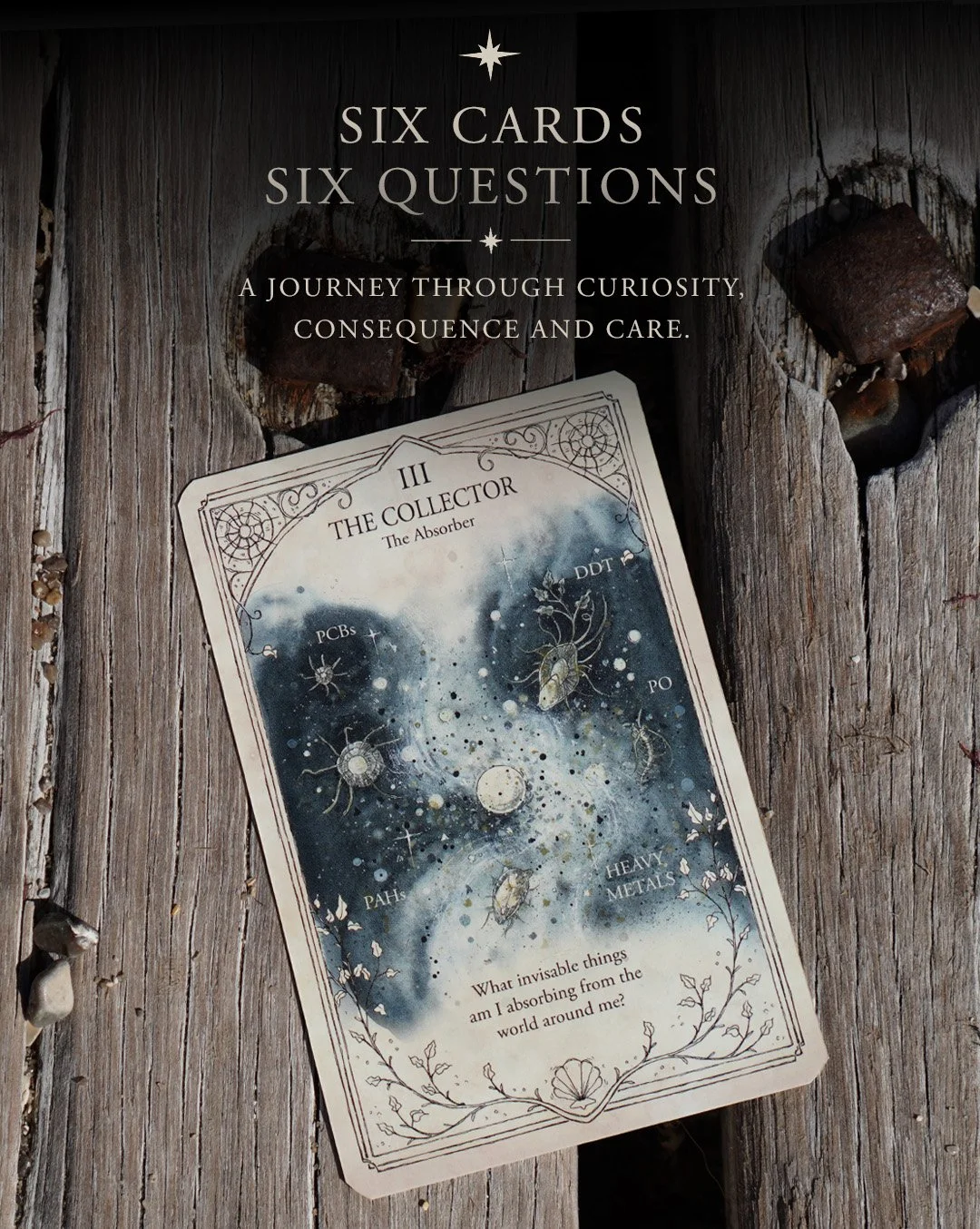 02 six cards six questions copy.jpg