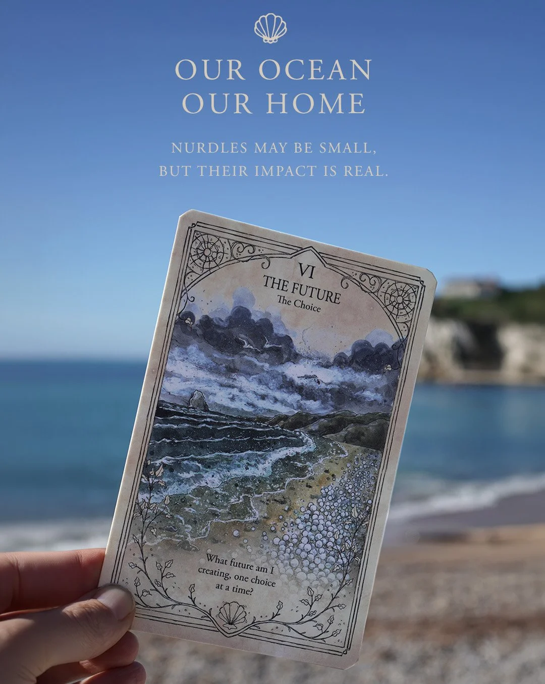 03 our ocean our home copy.jpg