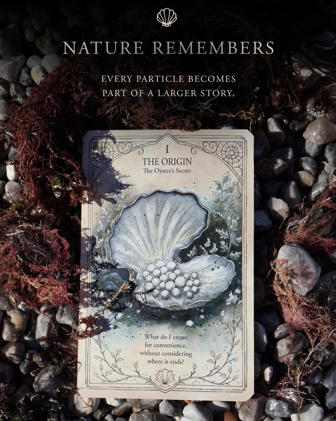 04 nature remembers copy.jpg