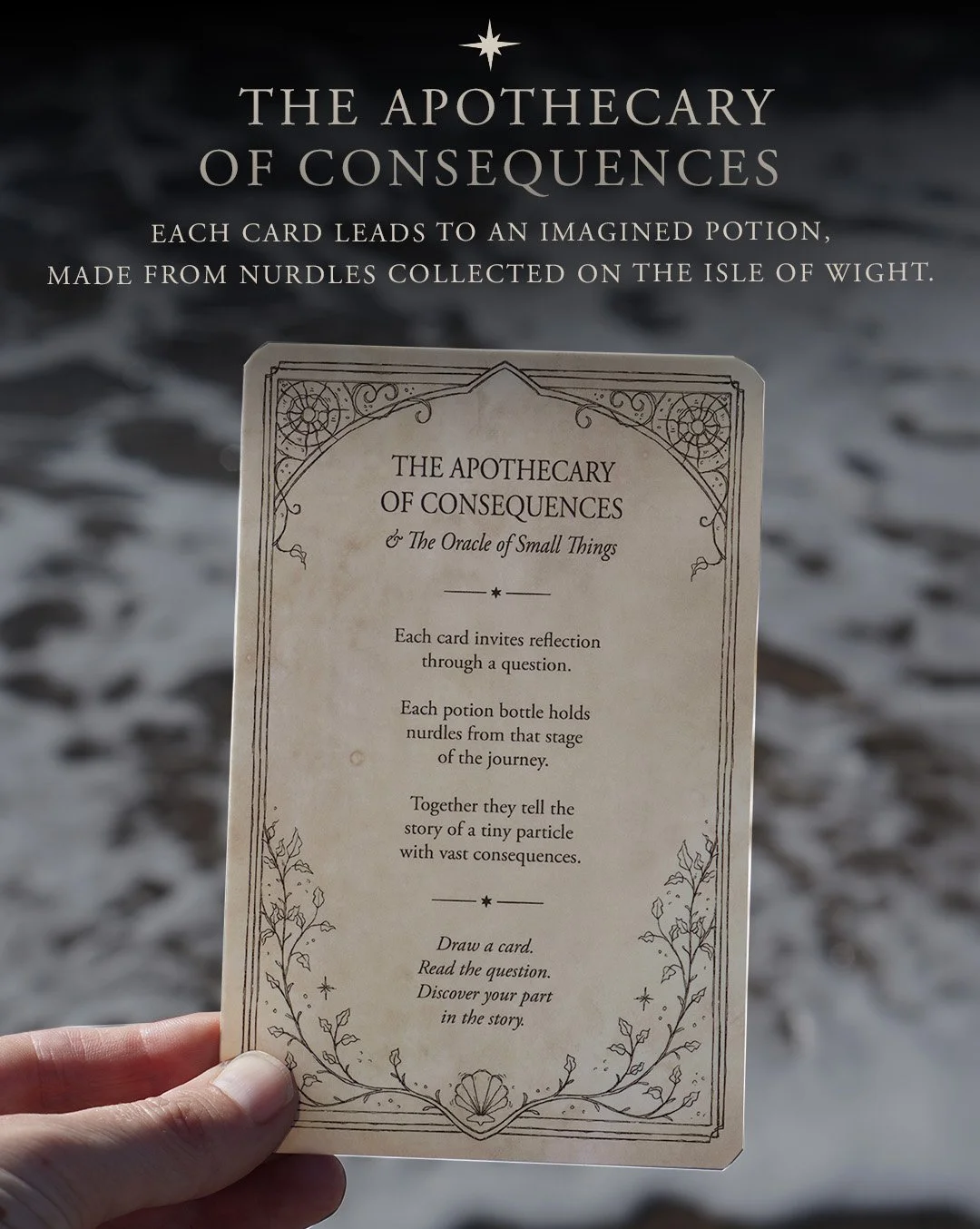 07 the apothecary copy.jpg