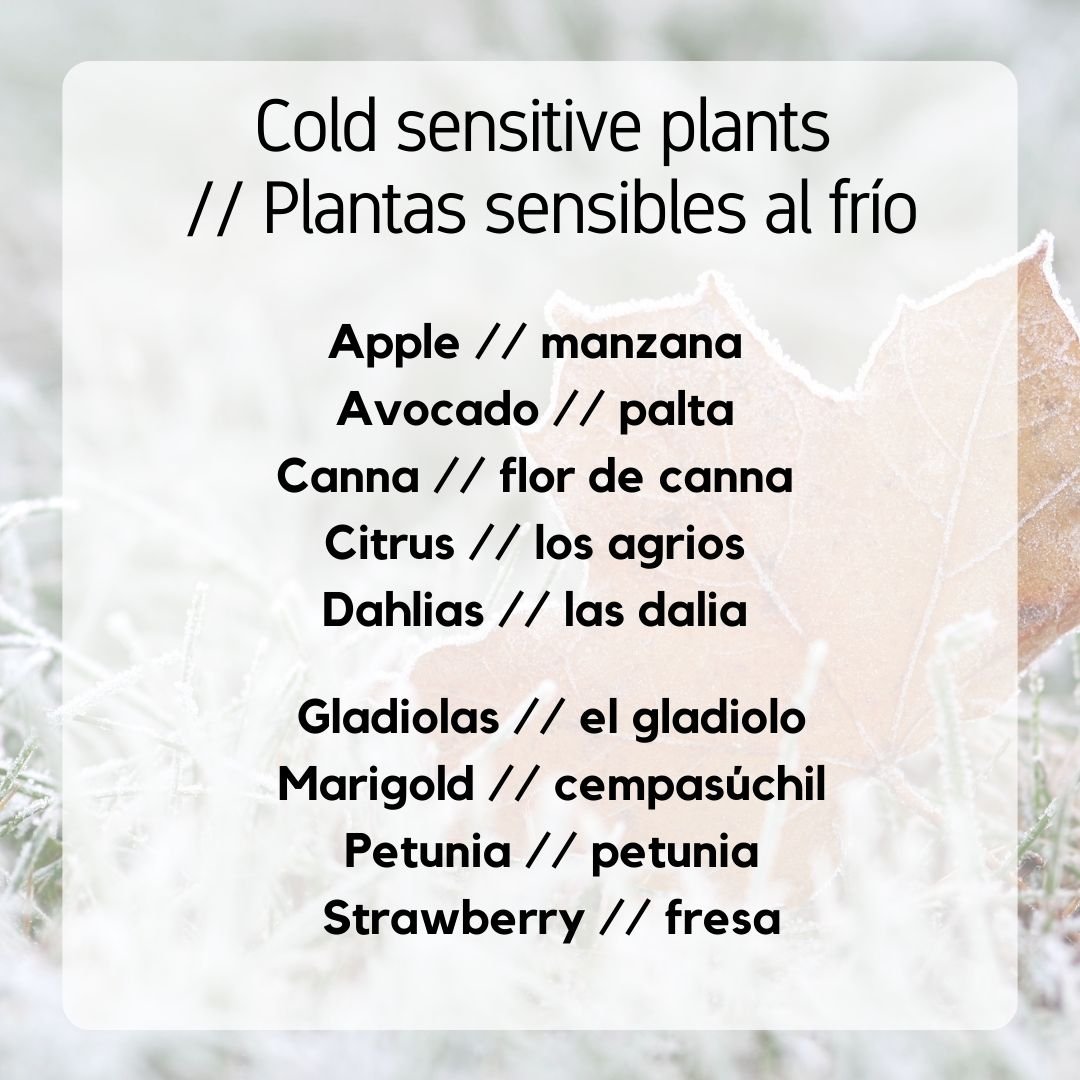Dec_Cold Sensitive Plants.jpg