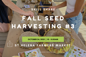 Skill Share: Fall Seed Harvesting #3