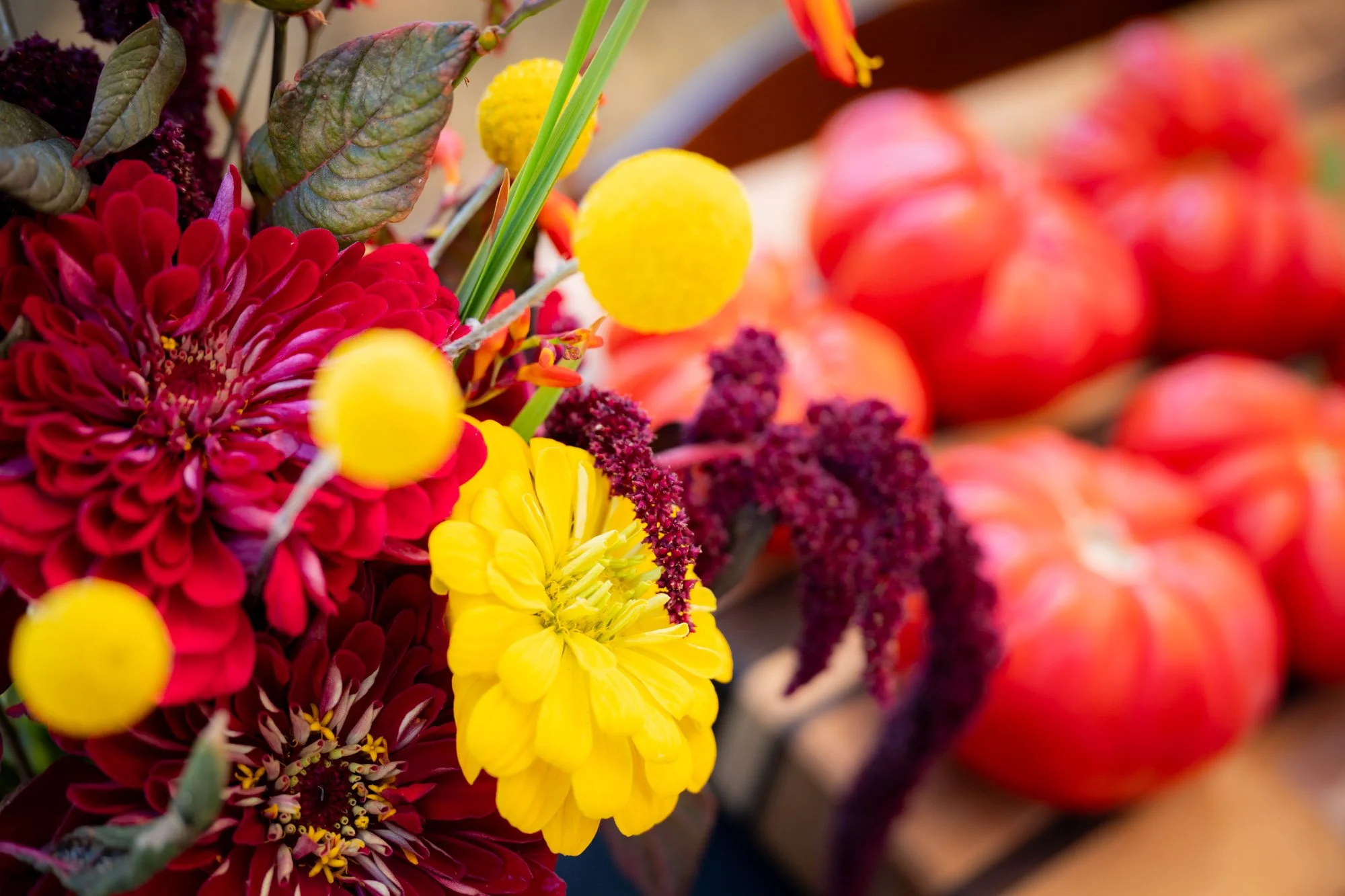 FlowersCloseUp.jpg