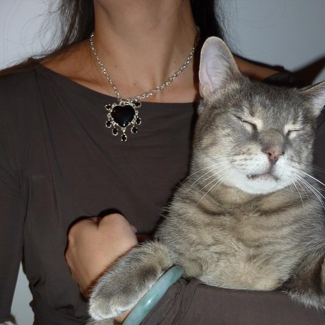 BC3104BA-7F89-4B18-BA6A-88A28BE2BA53