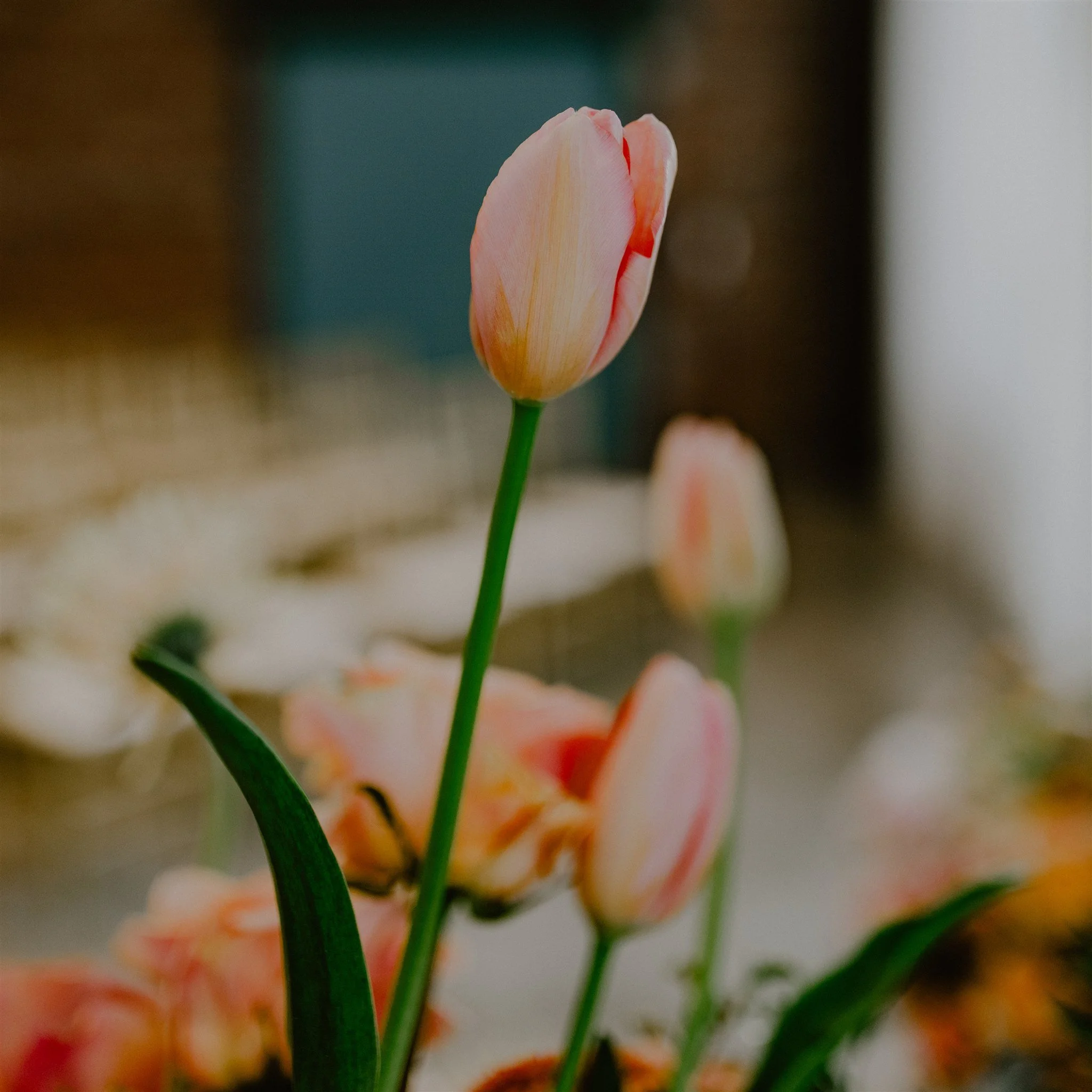 Atrium on Tenth Spring Wedding Styled Shoot-65.jpg