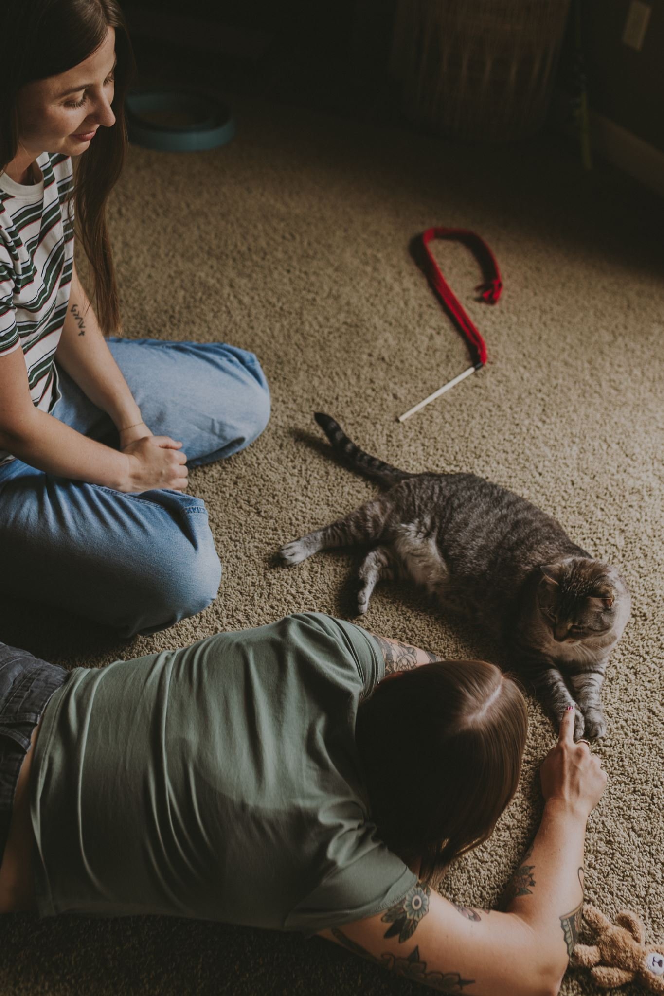 Columbia MO Pet Photography Maeve-33.jpg