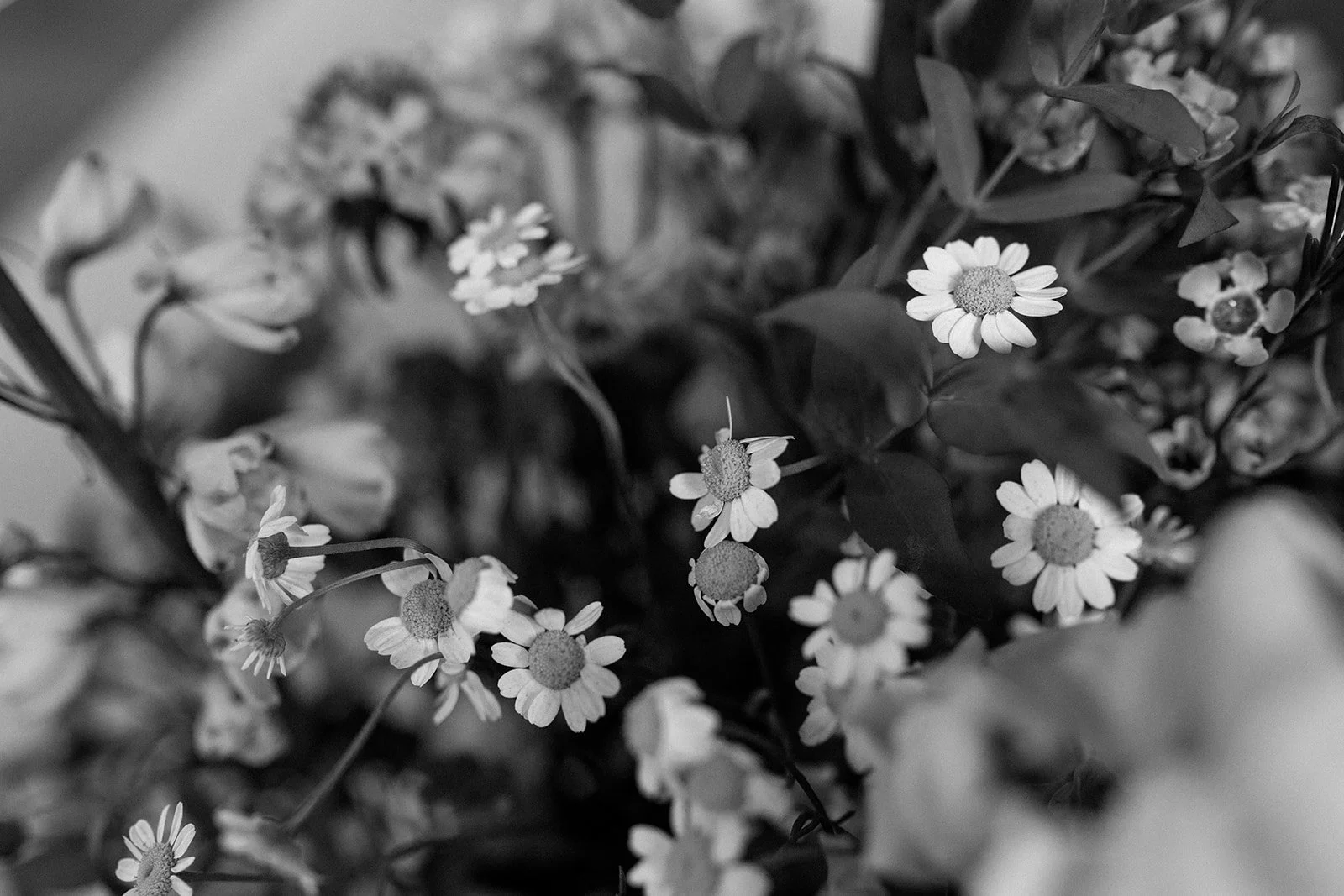 C The millbottom jeff city wedding Reception catholic church-85.jpg