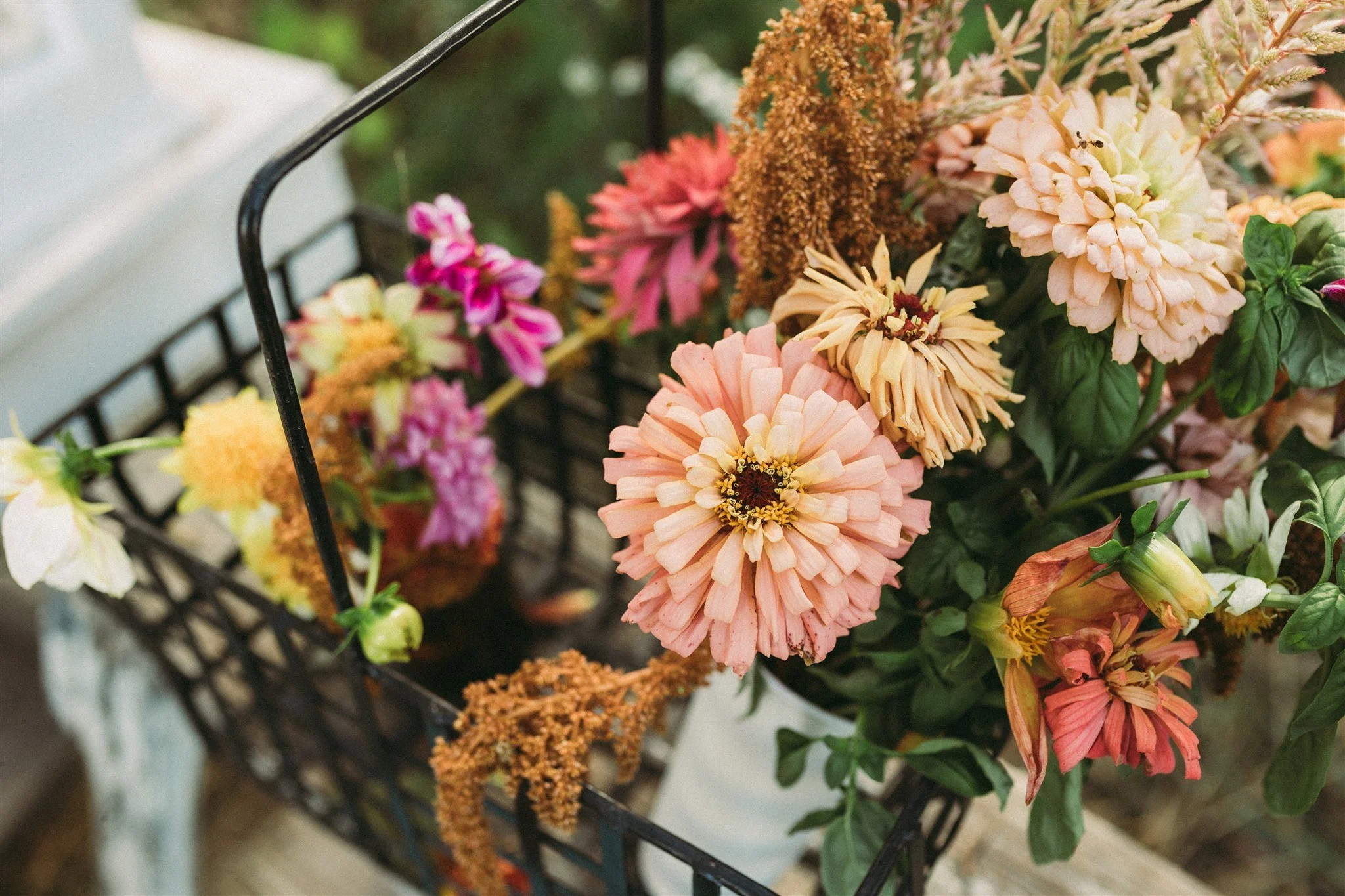       
  
      const searchread_6995f4d0cc28439fd243c3c1 = `Photography Locations
Pierpont Farms
October 9, 2025
Pierpont Farms is tucked away in the quiet country near Rock Bridge State Park in Columbia, Missouri. Here, you can embrace the outdoors