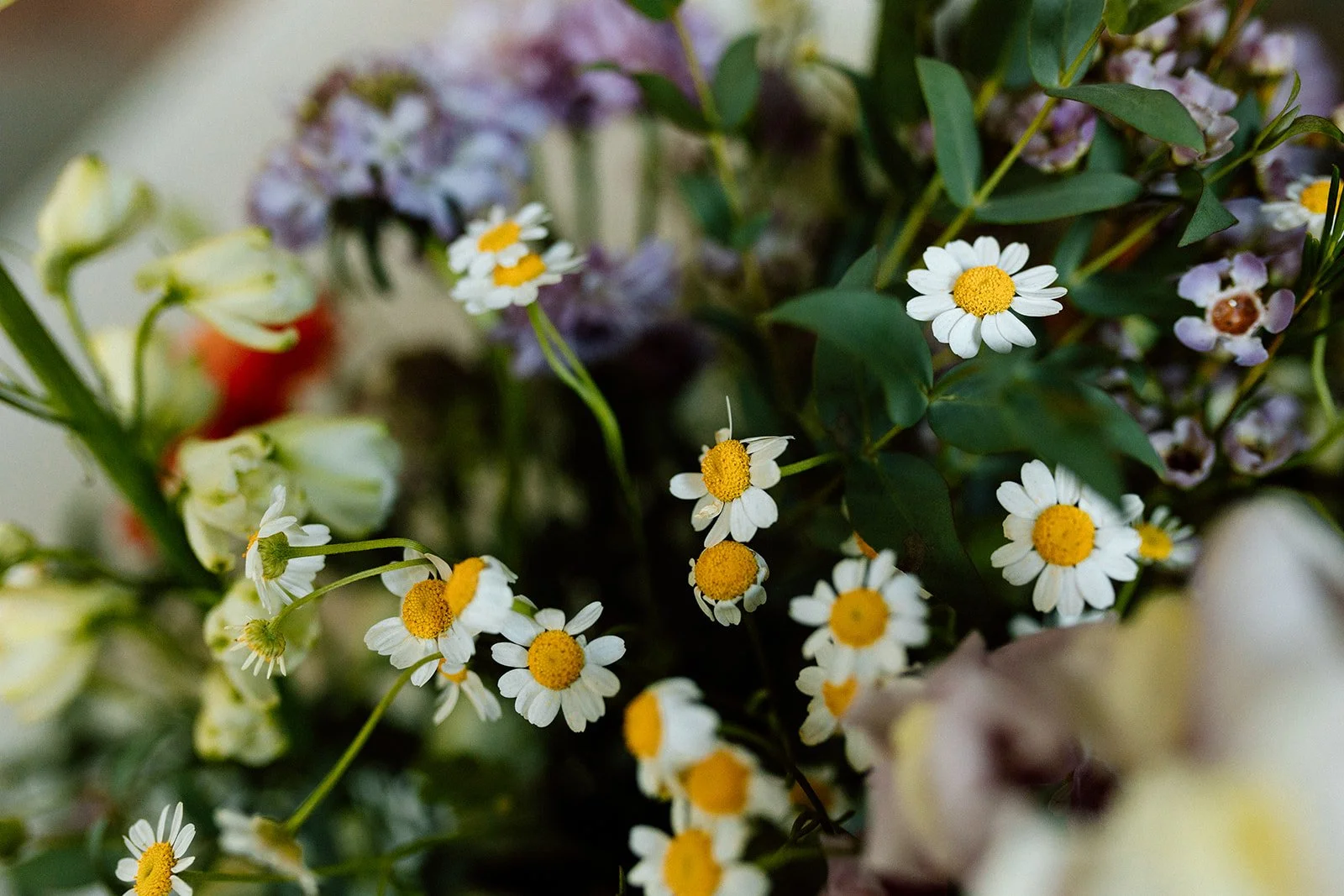 C The millbottom jeff city wedding Reception catholic church-86.jpg