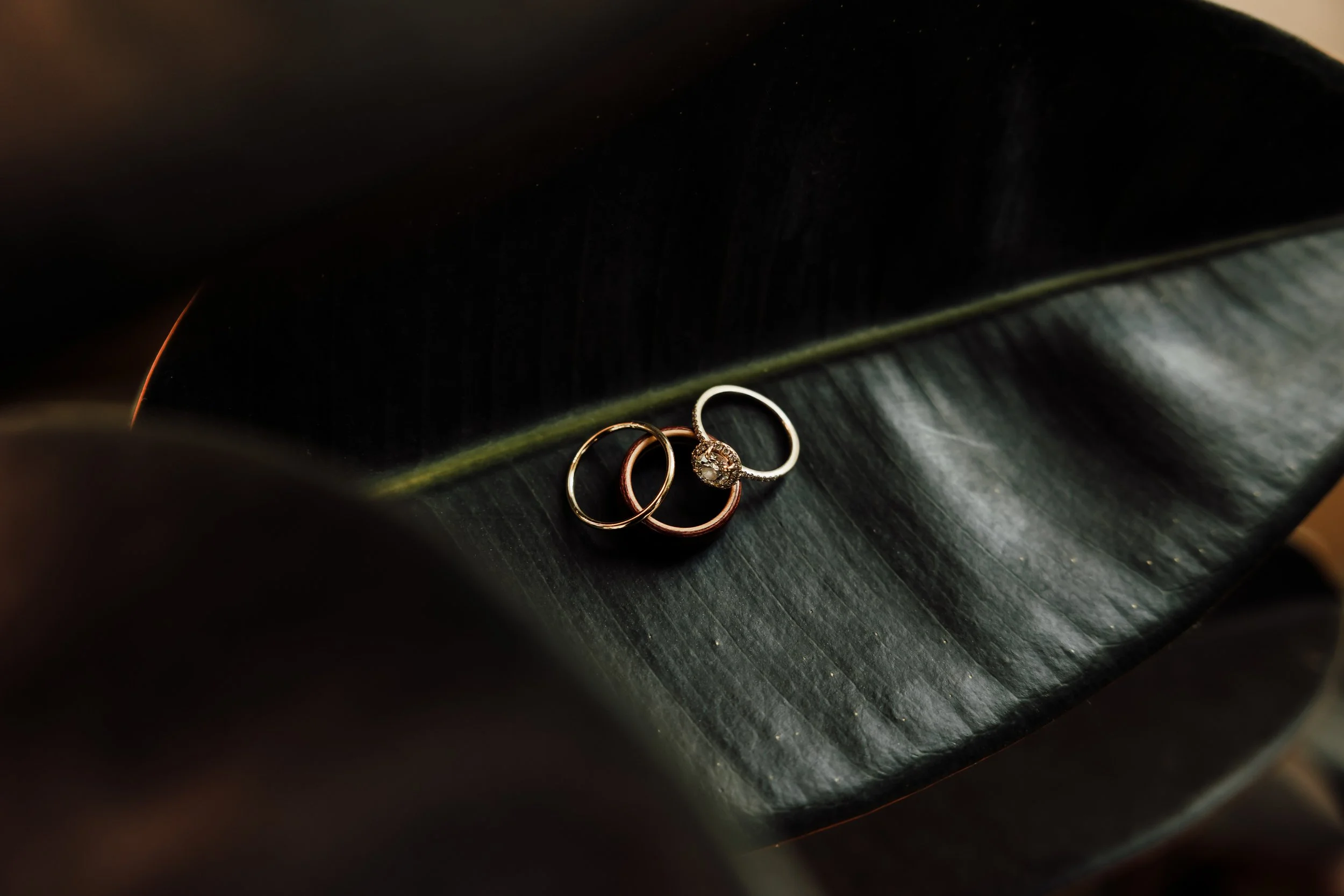 boho wedding at the piper palm house