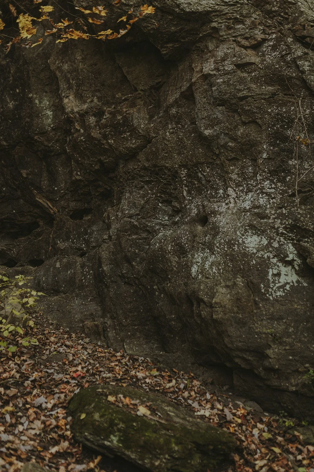 Columbia MO Senior Portraits Rock Bridge-29.jpg