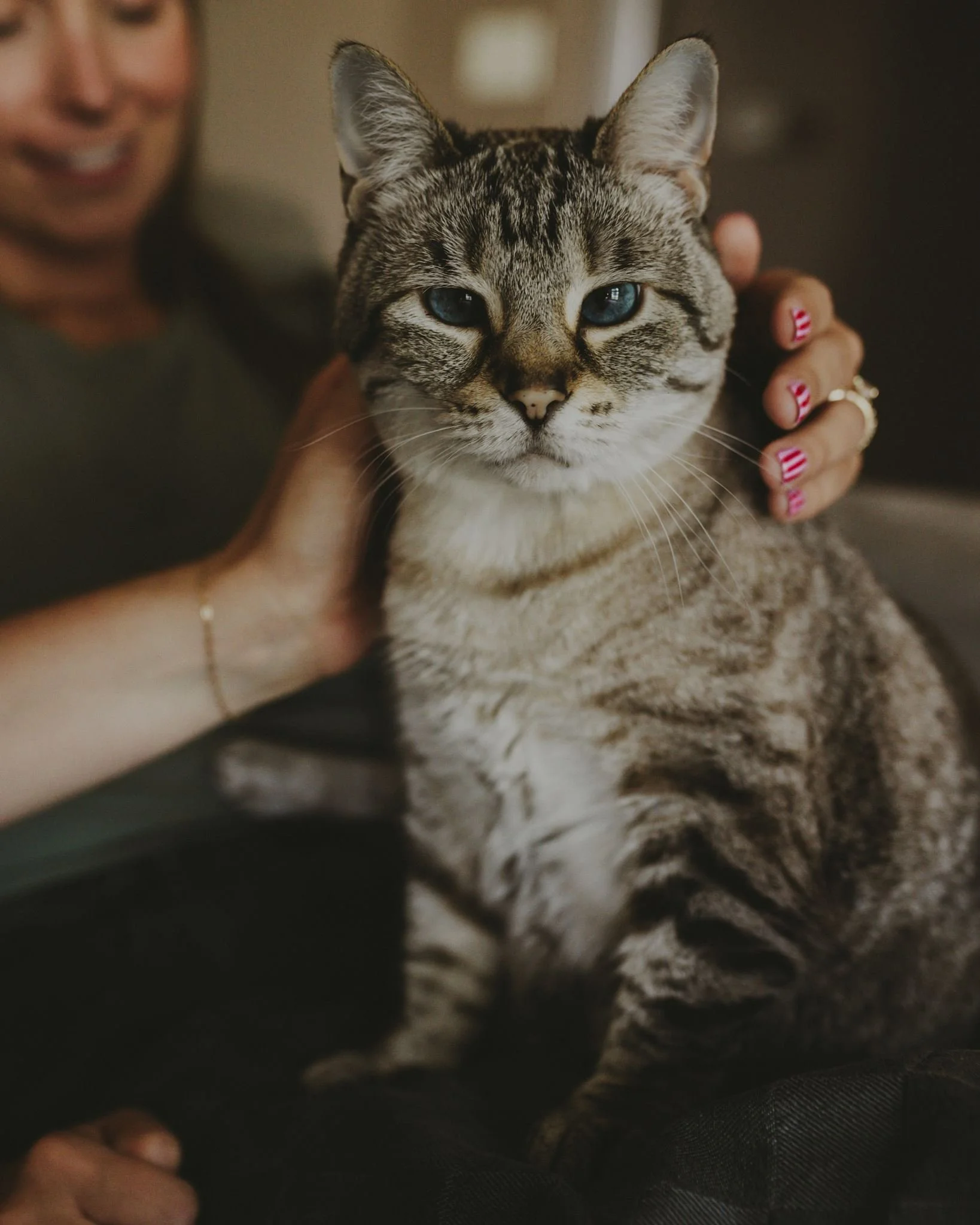 Columbia MO Pet Photography Maeve-7.jpg
