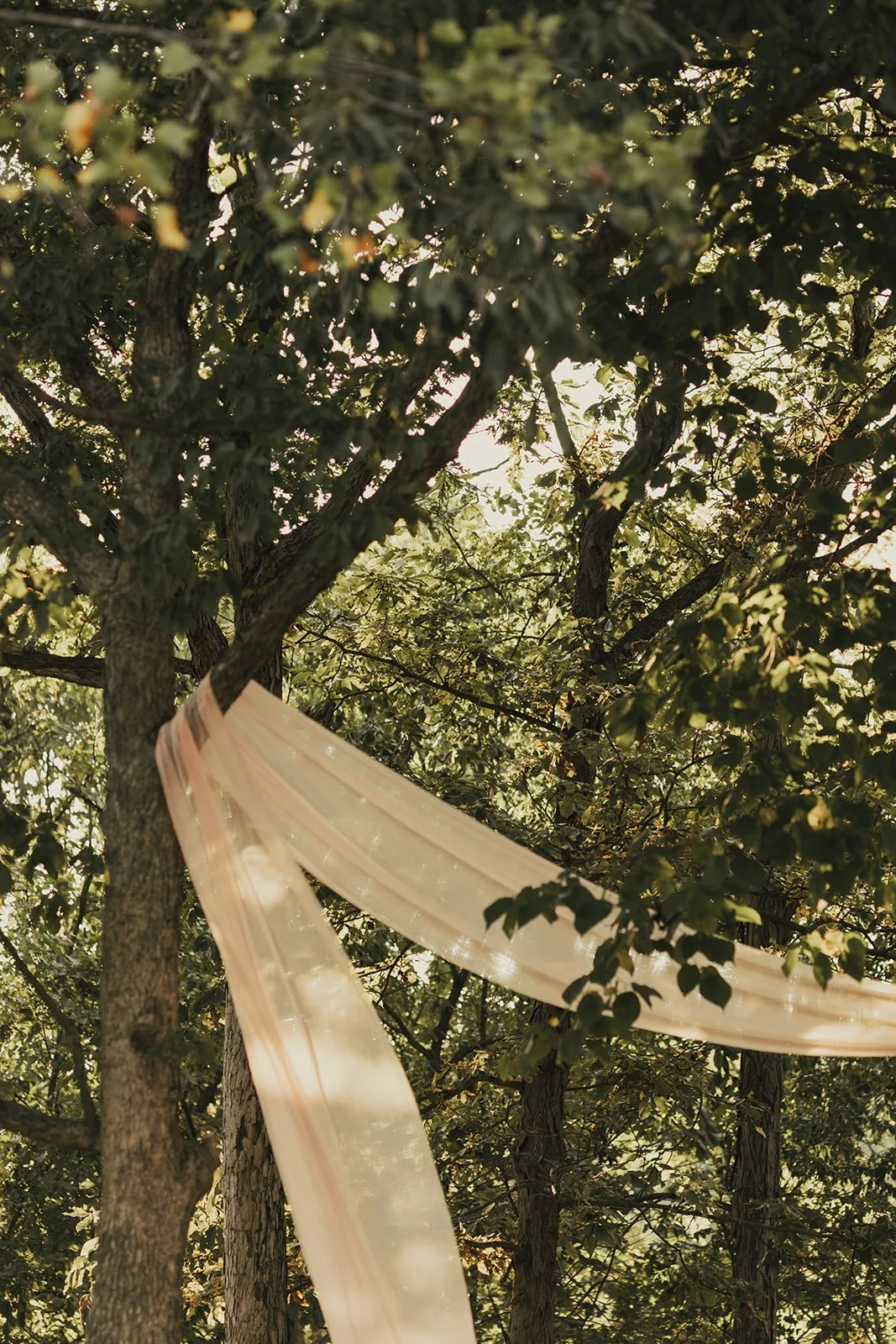 Intimate-Backyard-Wedding-72.jpg