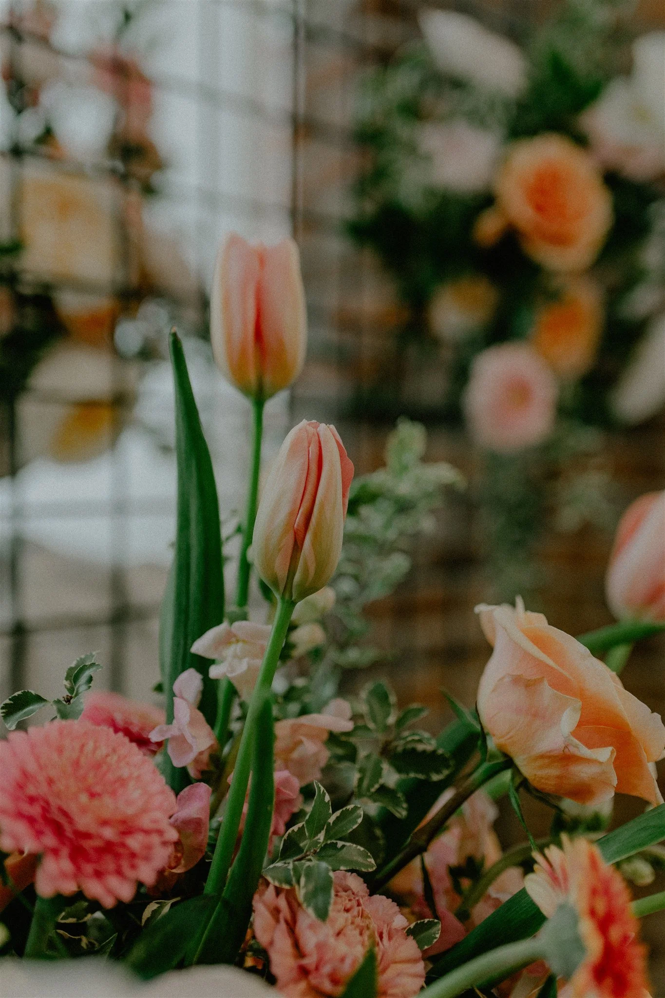 The Atrium on Tenth Styled Shoot 2026-26.jpg