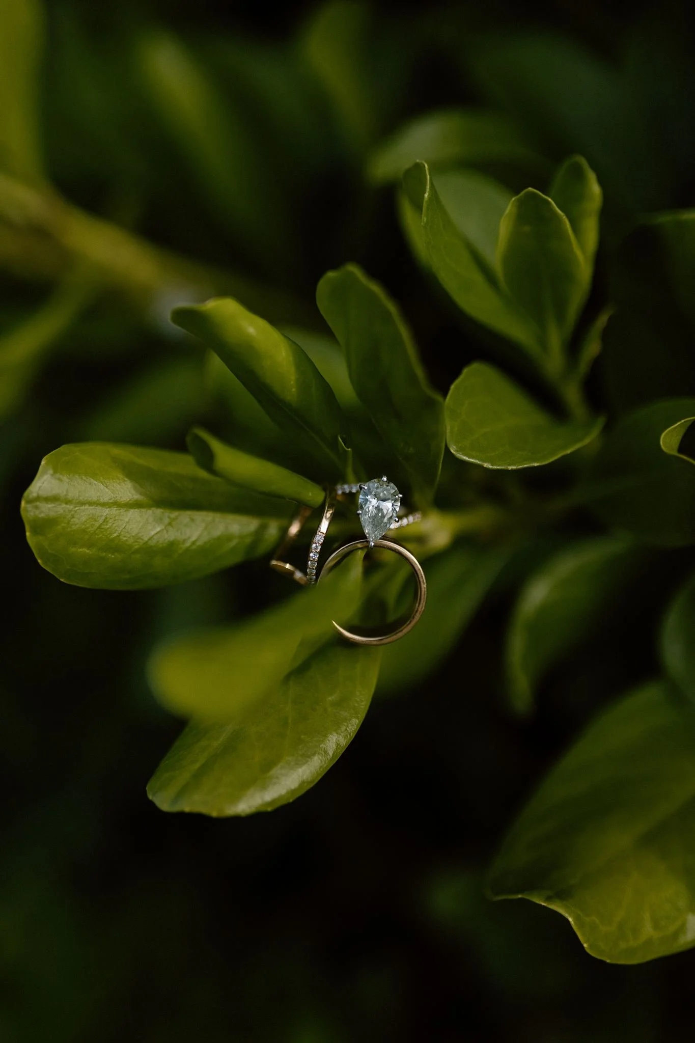 Leslie + Nick Puerto Rico Wedding Final Gallery-67.jpg