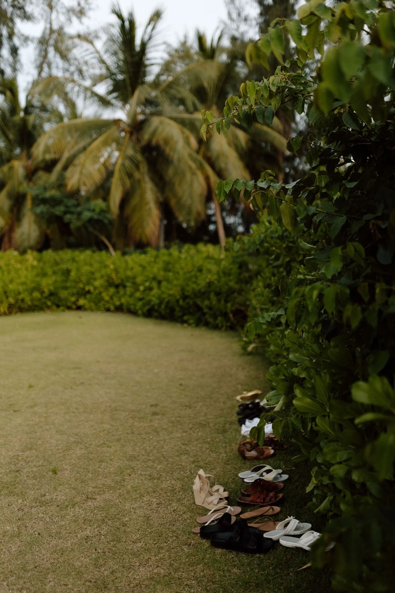 Leslie + Nick Puerto Rico Wedding Final Gallery-132.jpg