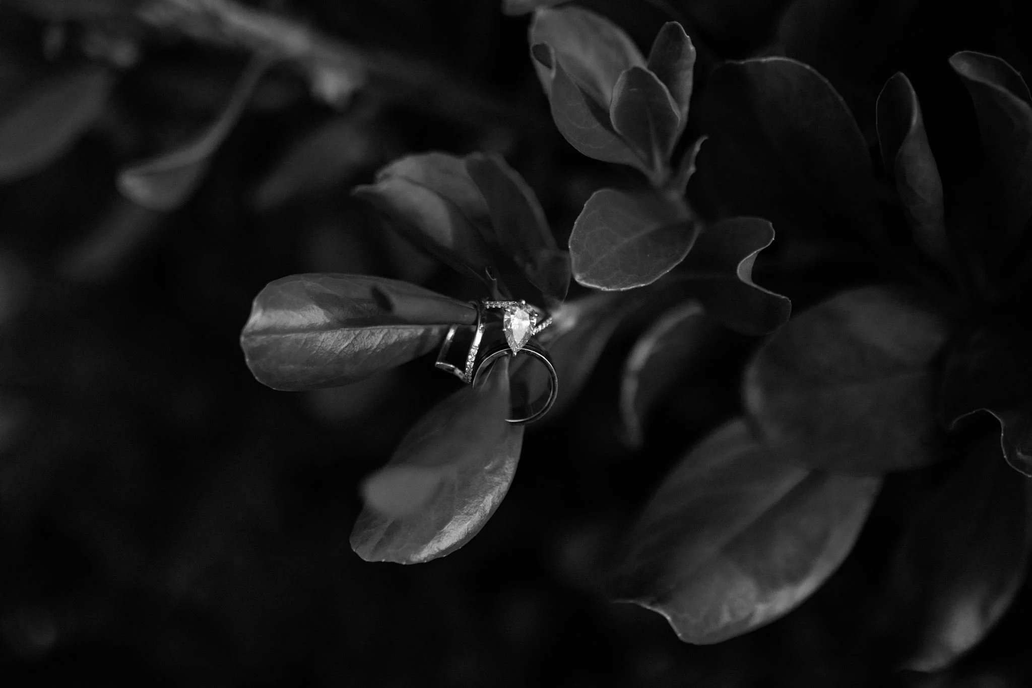 Leslie + Nick Puerto Rico Wedding Final Gallery-70.jpg