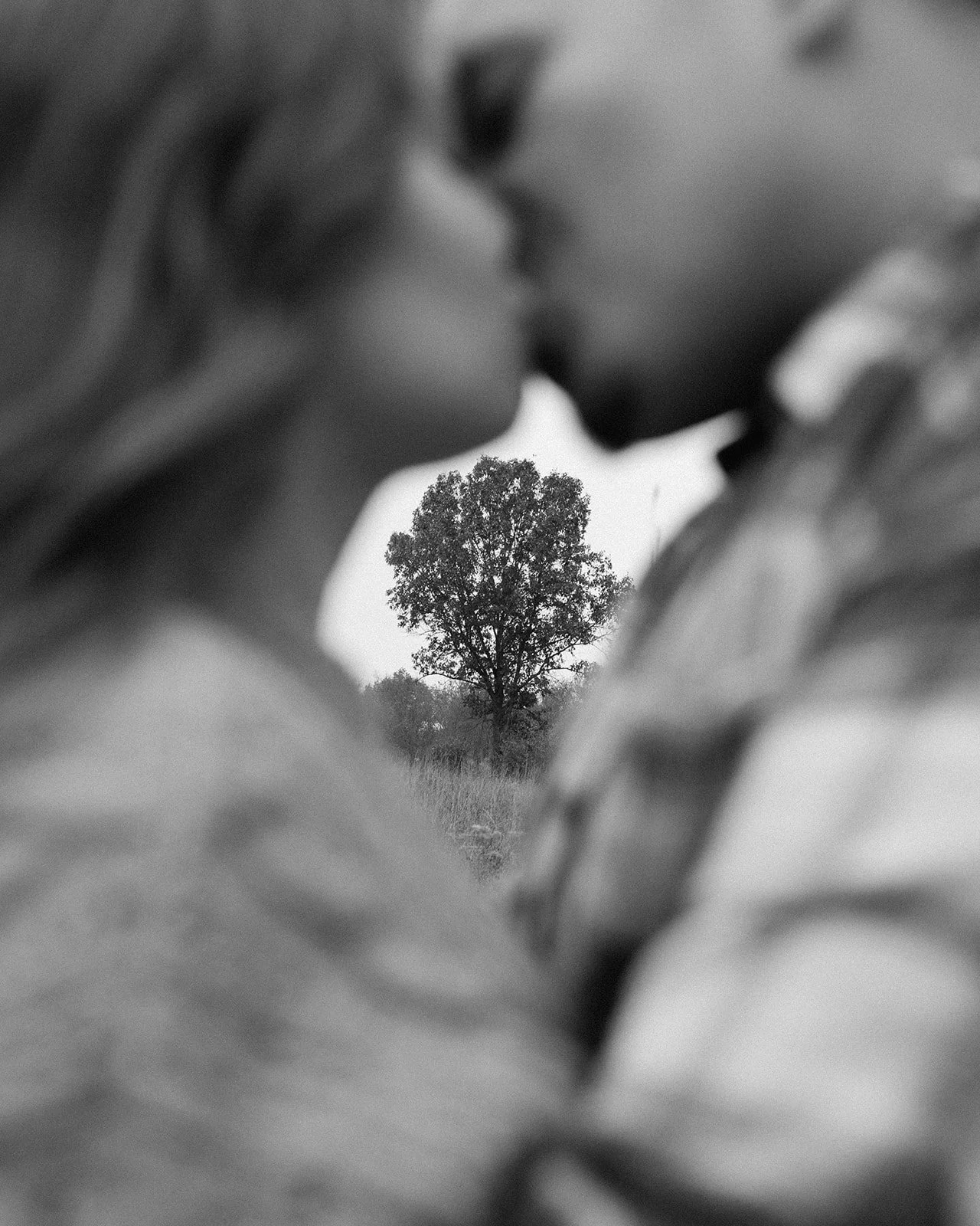 Chelsea & Alex Proposal-54.jpg