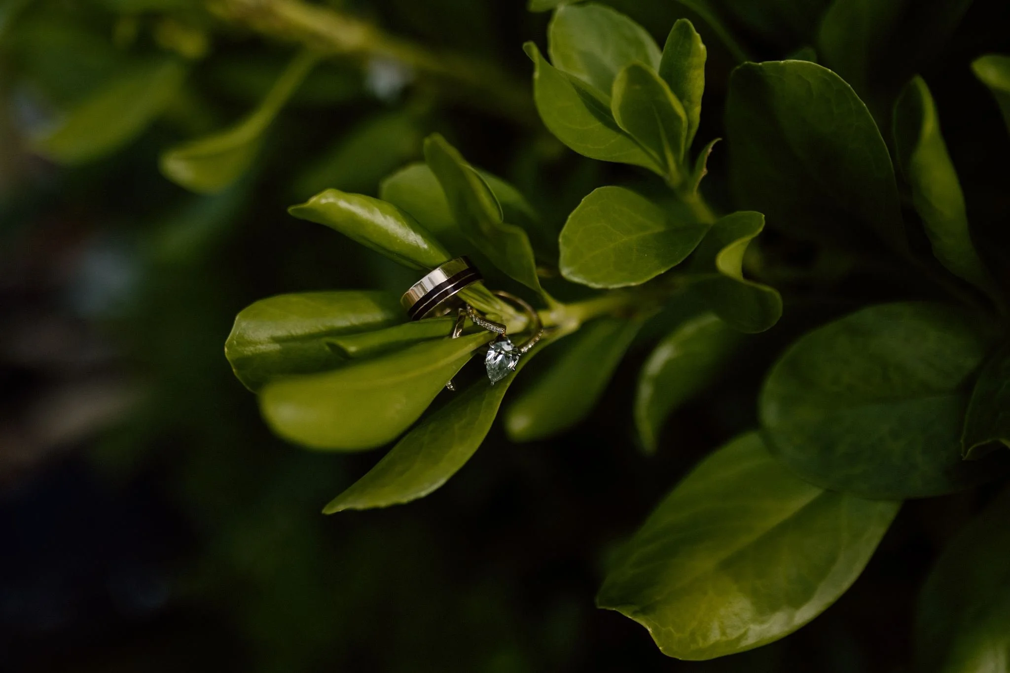 Leslie + Nick Puerto Rico Wedding Final Gallery-71.jpg