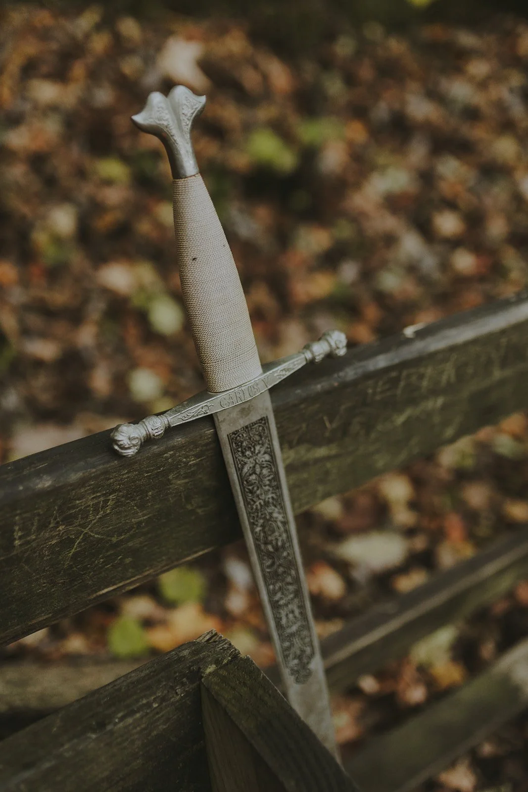 Columbia MO Senior Portraits Rock Bridge-49.jpg