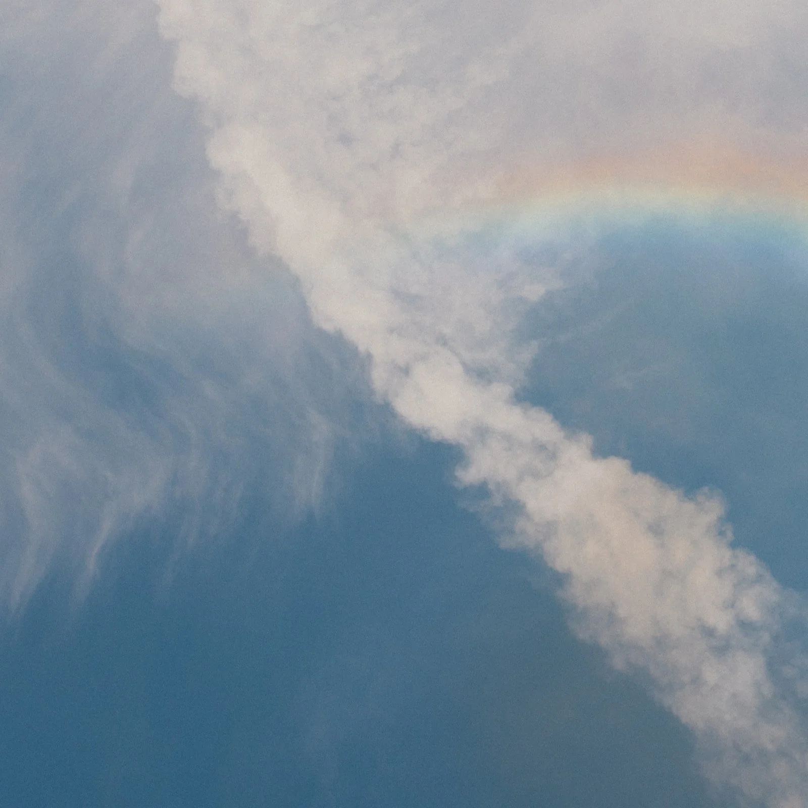 Fall Engagement Peace Park-1.jpg