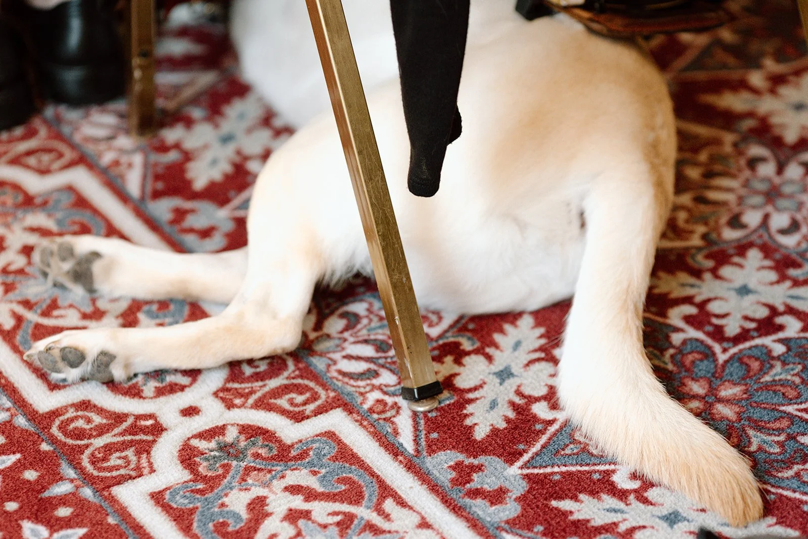 Cutts Wedding-174.jpg