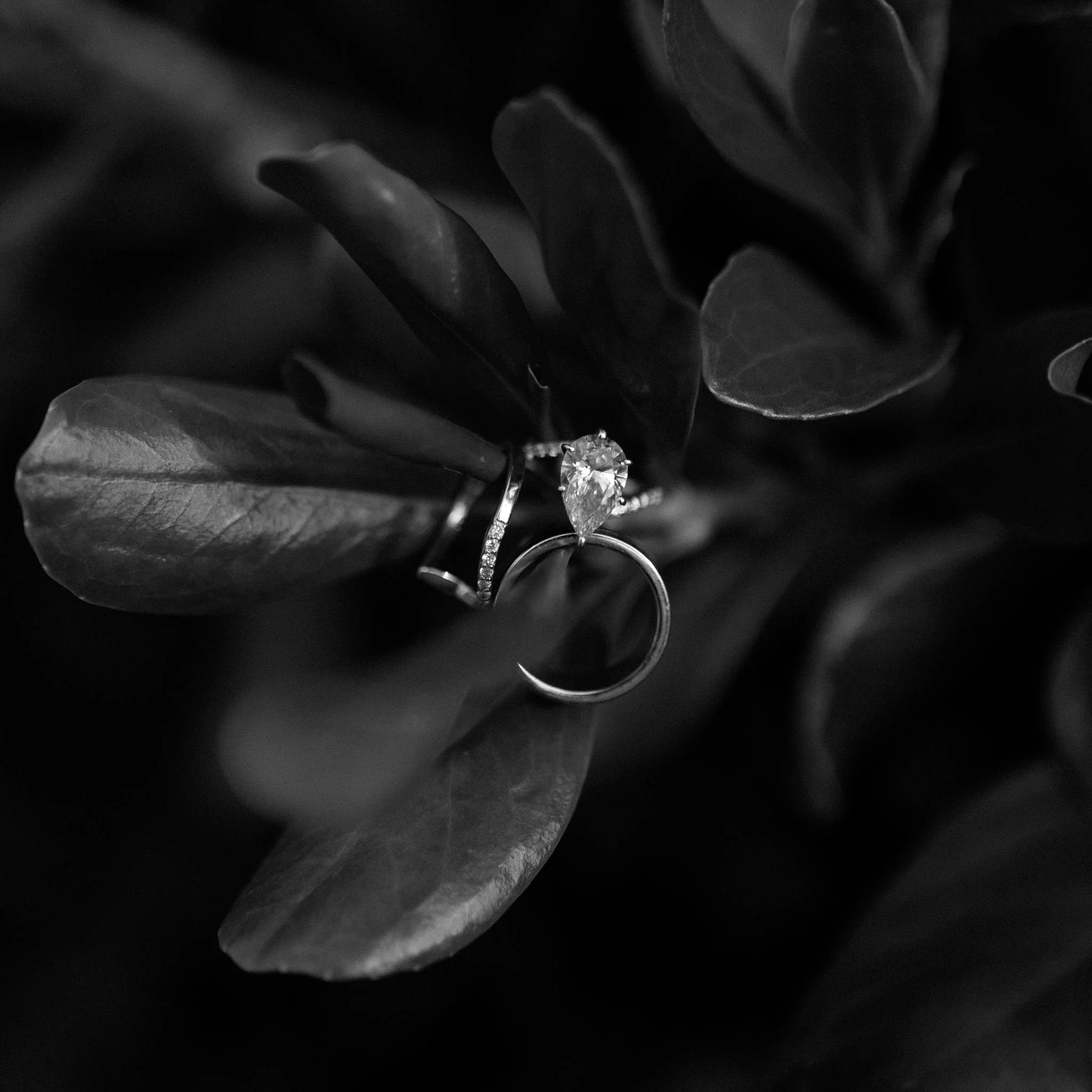 Leslie + Nick Puerto Rico Wedding Final Gallery-68.jpg
