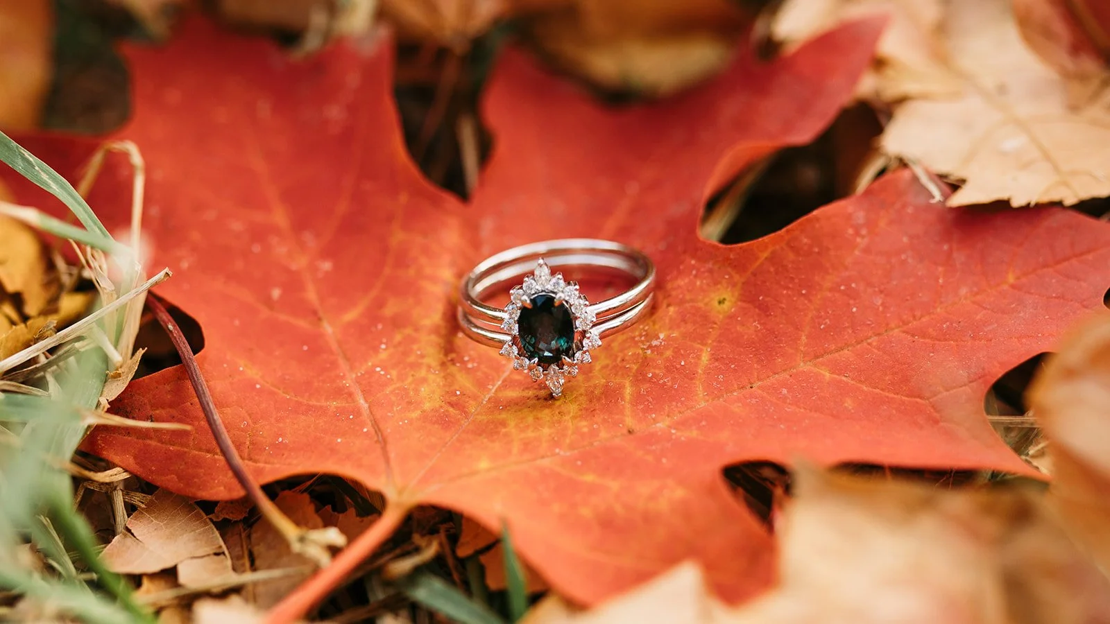 Fall Engagement Peace Park-23.jpg