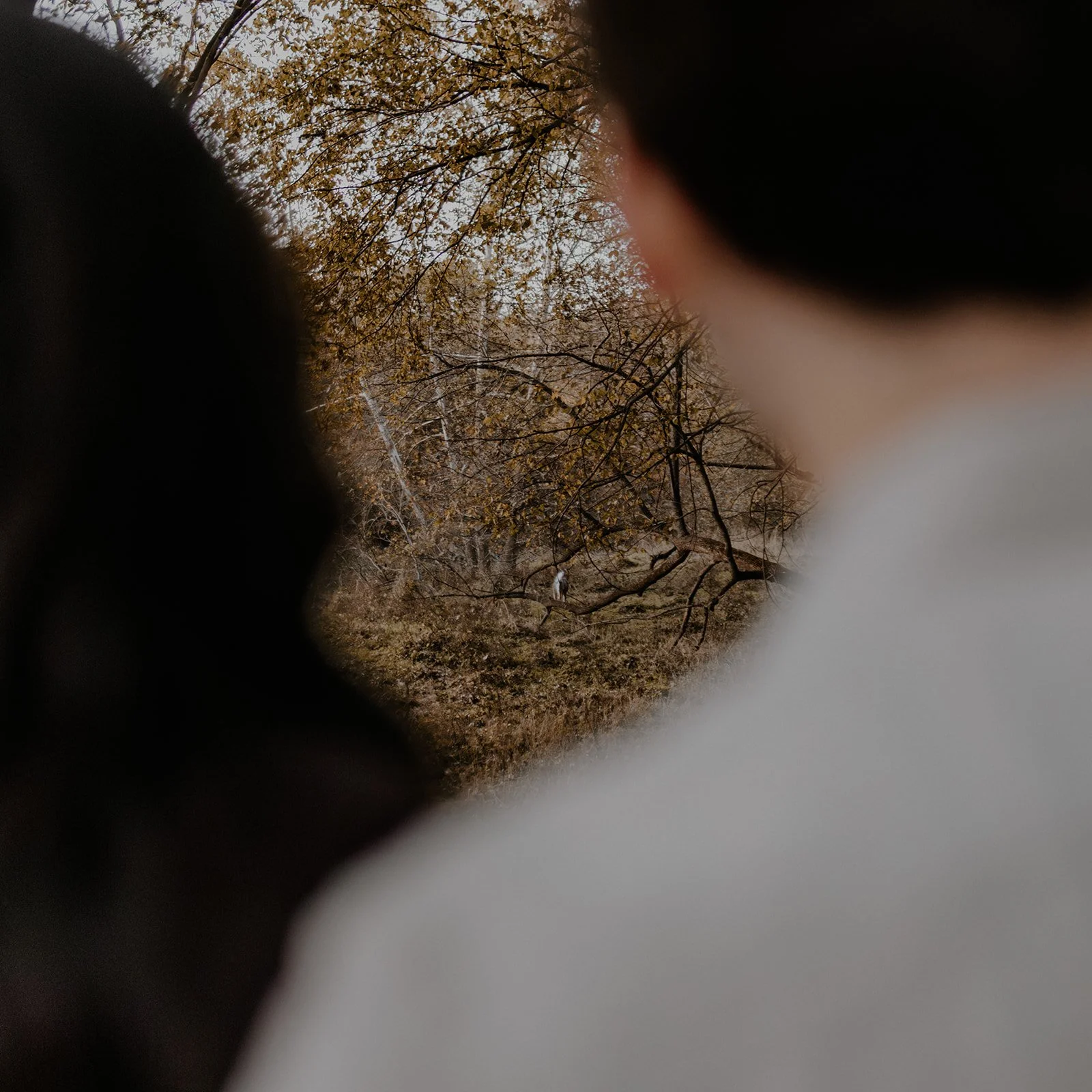 Moody Fall Engagement-51.jpg