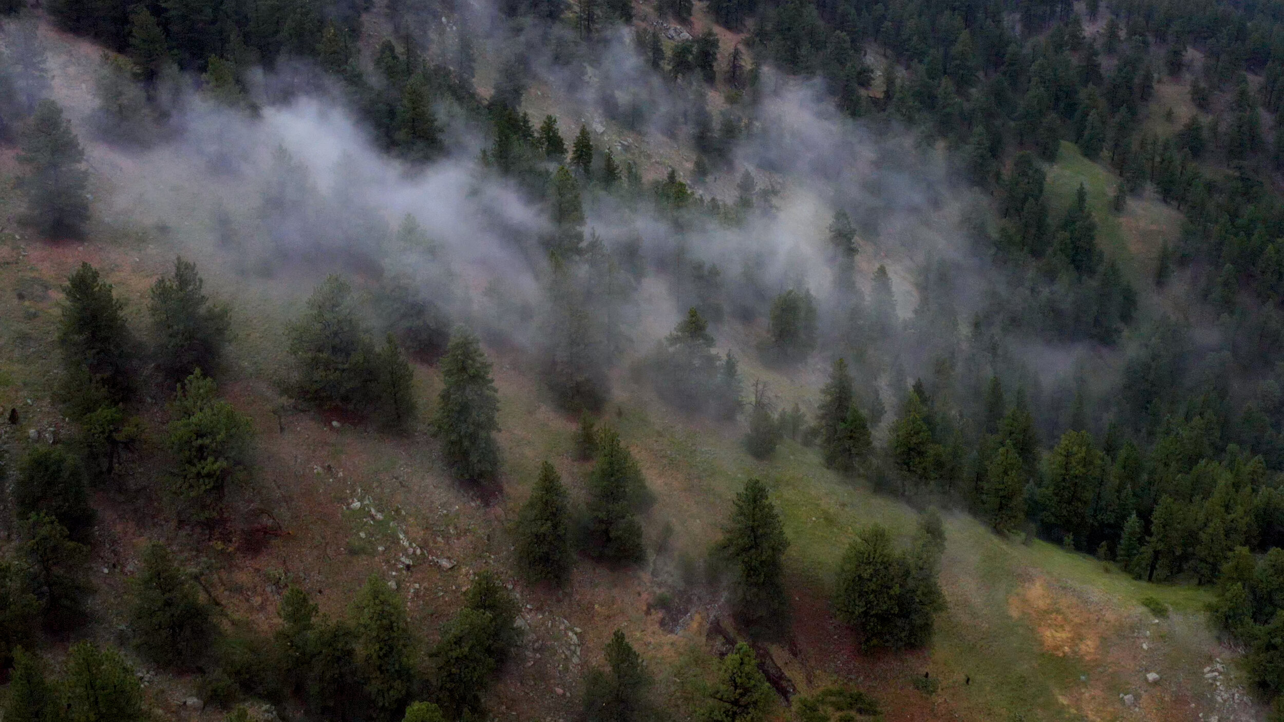 DJI_0273.00_00_53_18.Still006.jpg