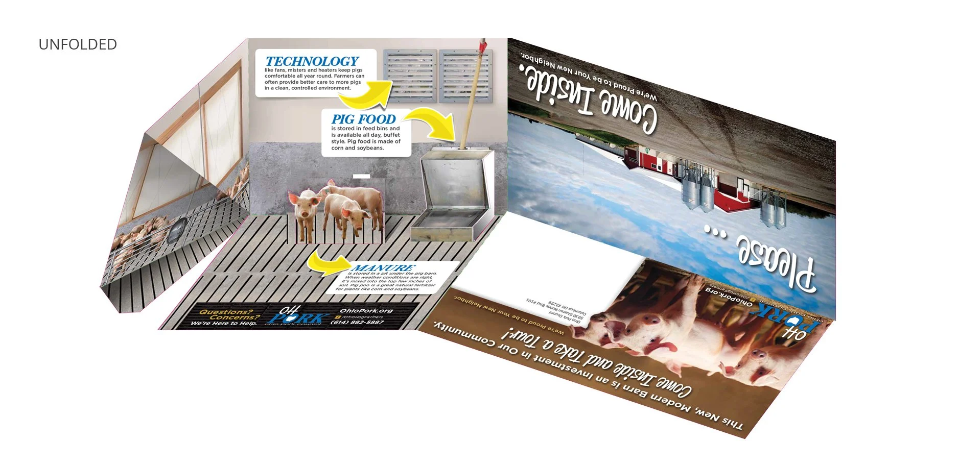 pigPopUp_Mockup4.jpg