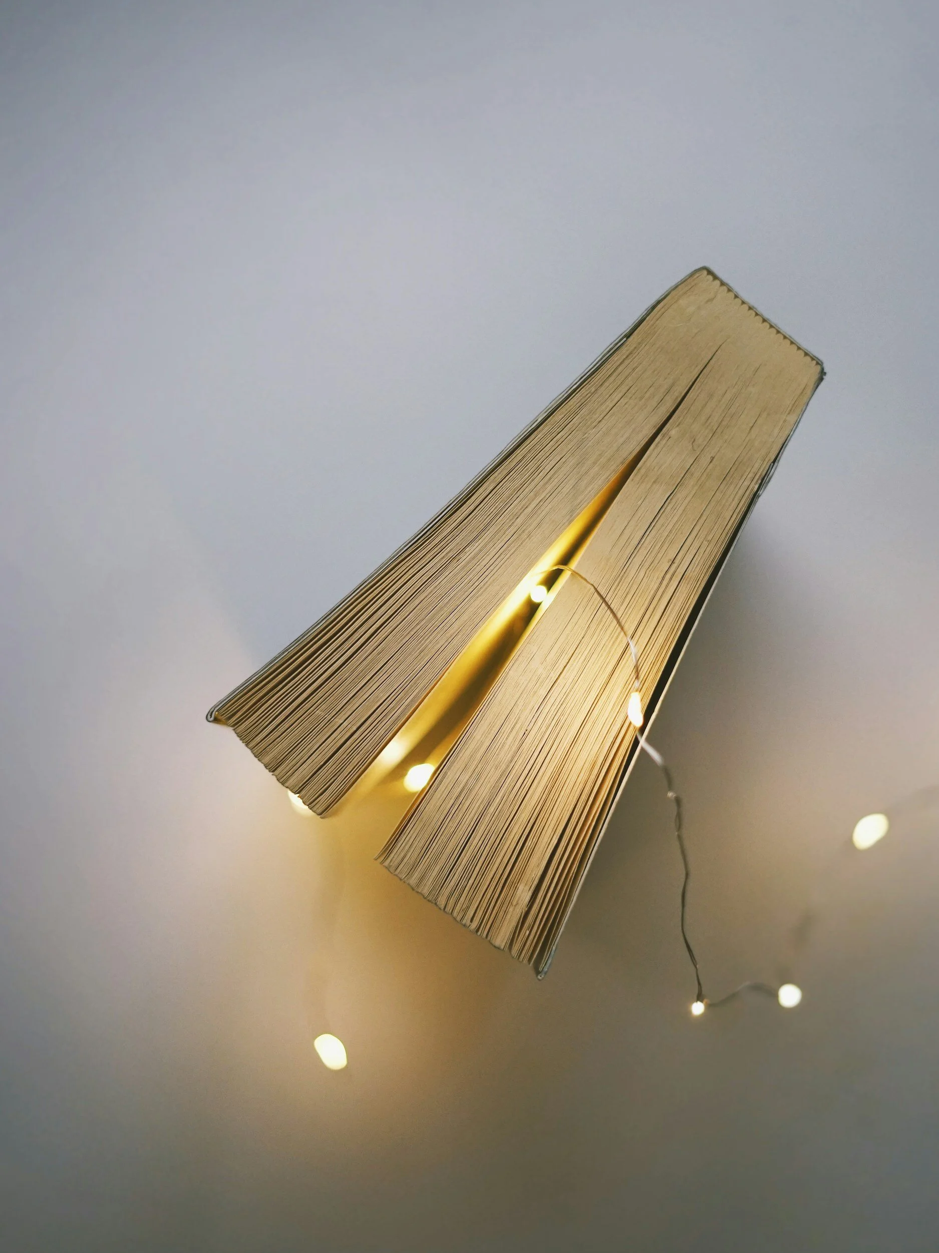 the craft. writing the middle. 