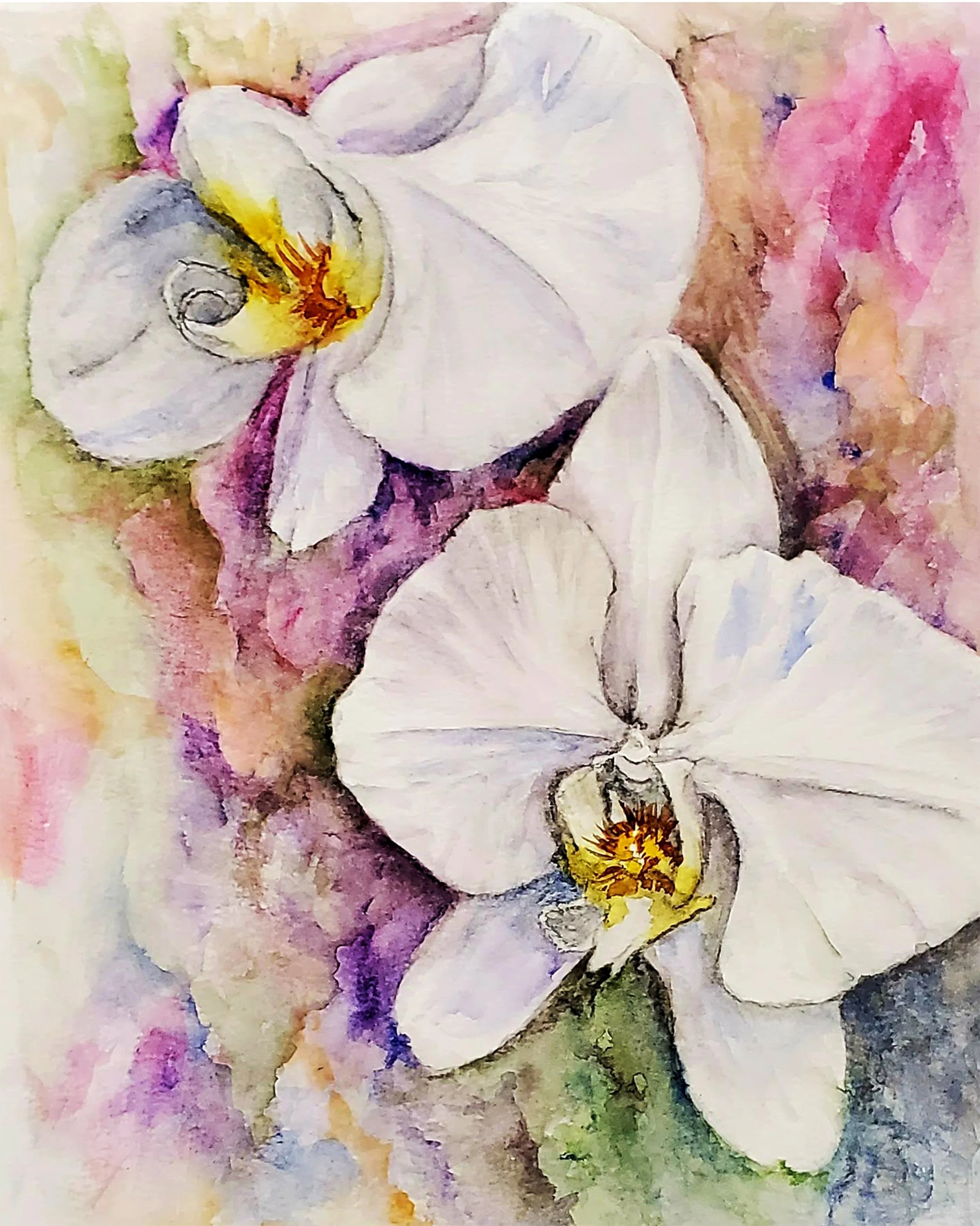 Two Orchids for Thee