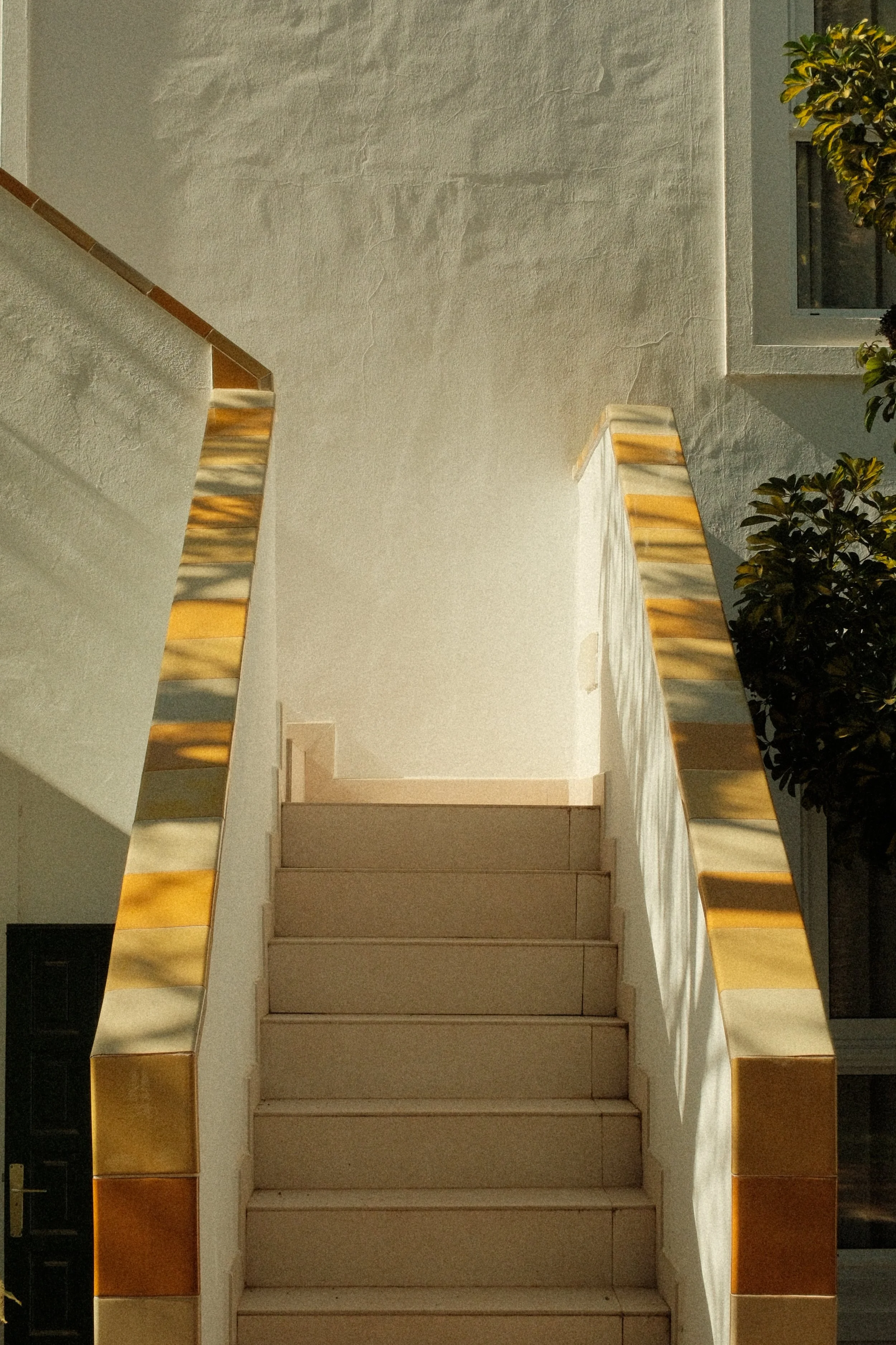 DSCF2063.jpg