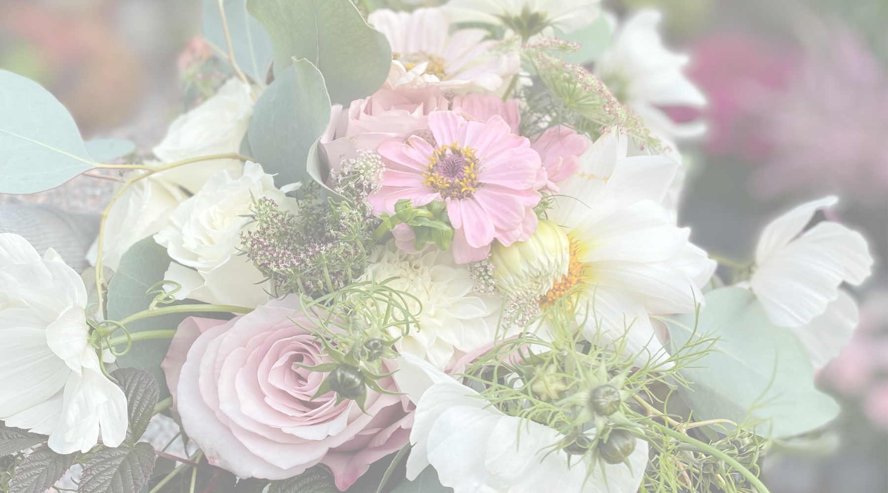 Untitled design (4).png