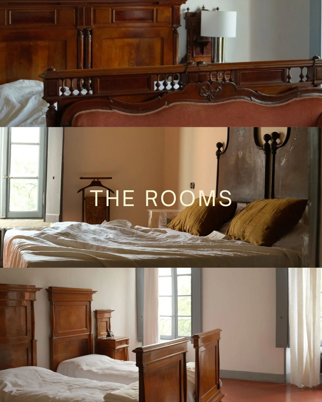 WhatsApp Image 2025-10-24 at 2.55.17 PM (2).jpeg