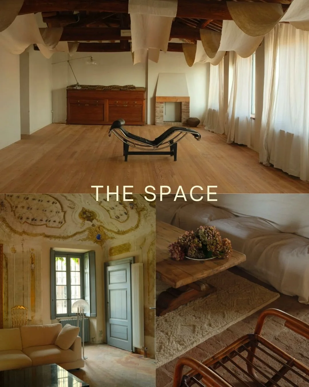 WhatsApp Image 2025-10-24 at 2.55.17 PM.jpeg