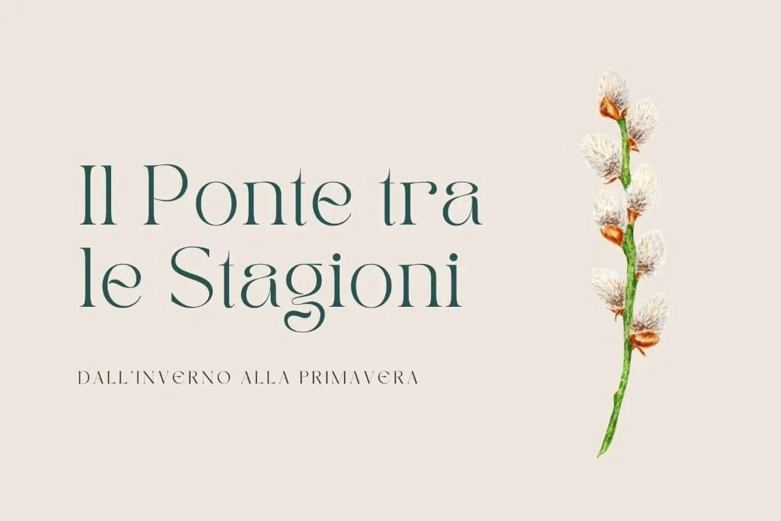 IL PONTE TRA LE STAGIONI