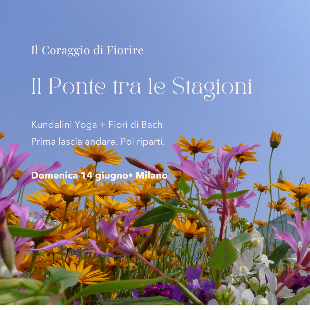 IL PONTE TRA LE STAGIONI 