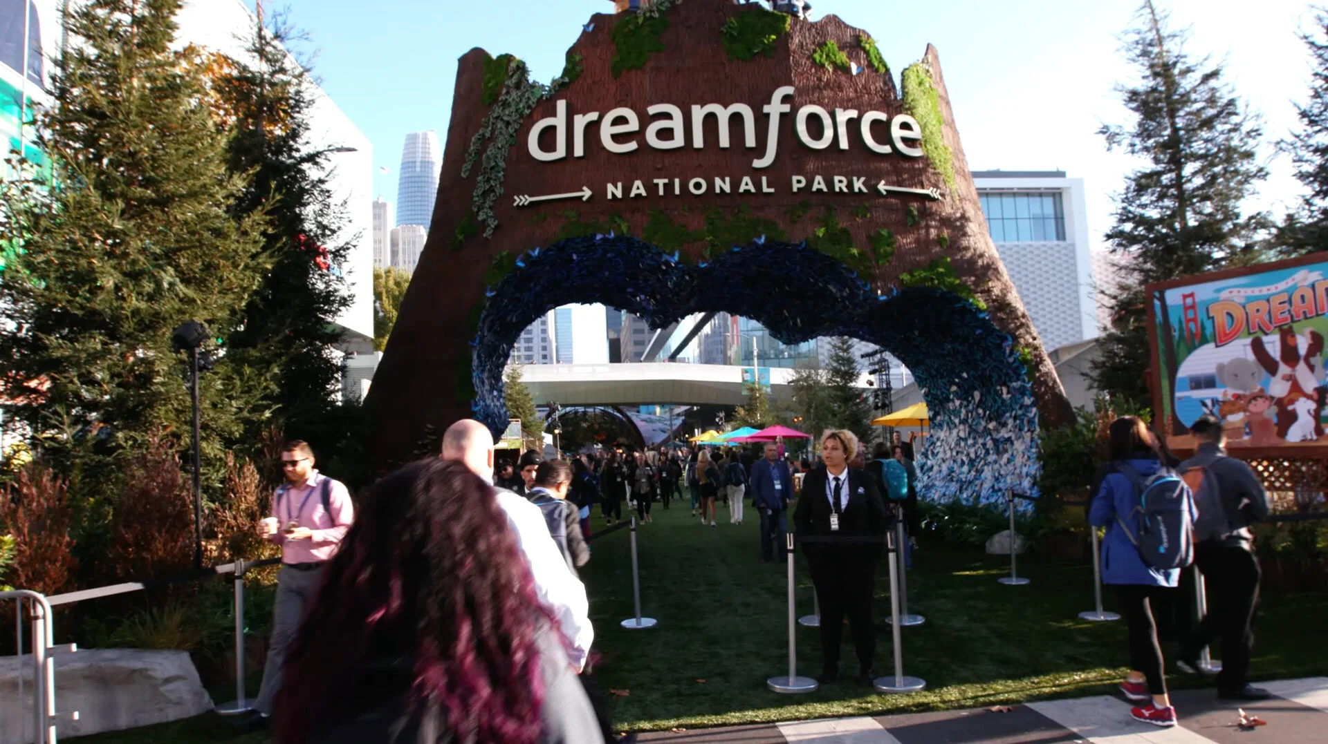 Salesforce Partners DF Innovation